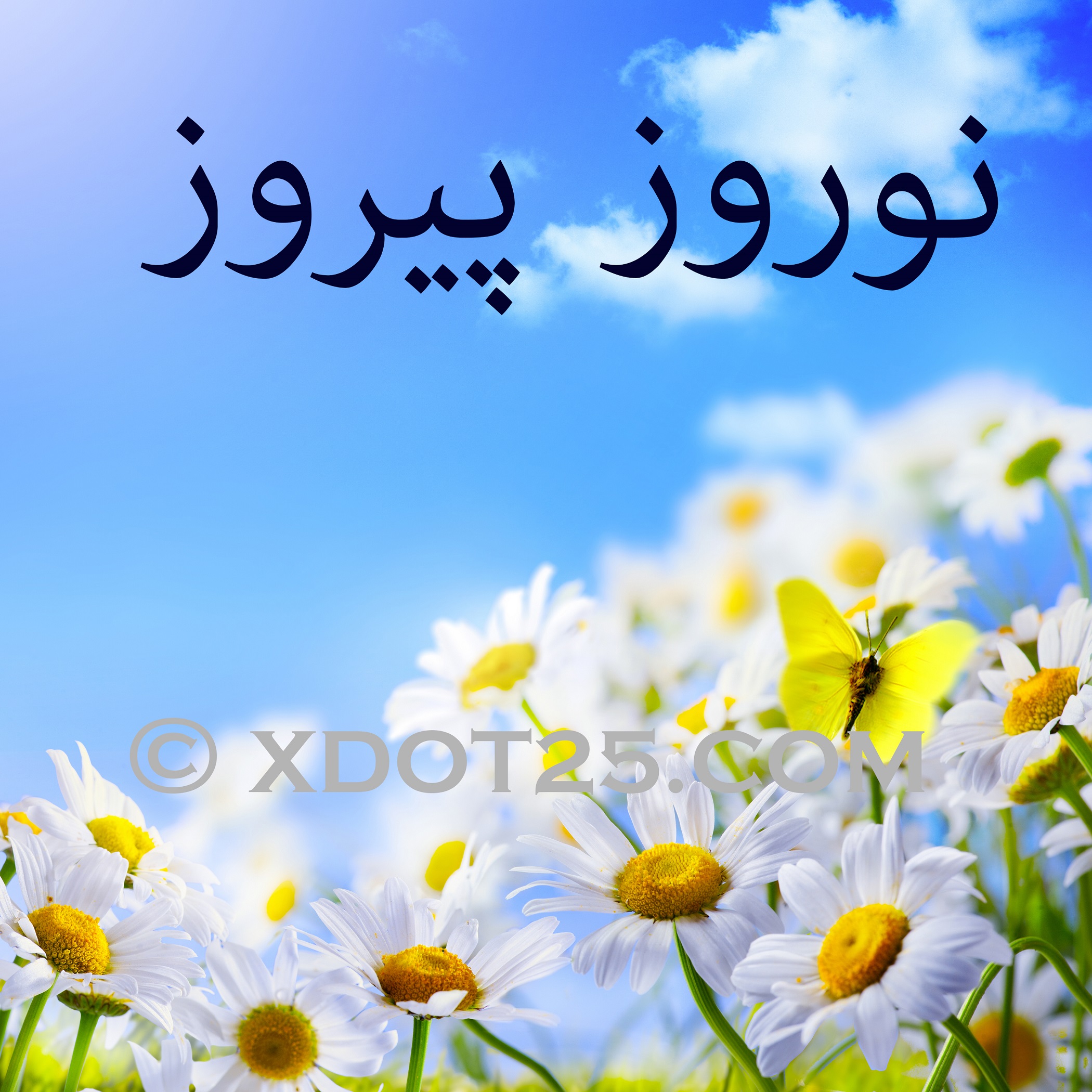 Nowruz Pirooz