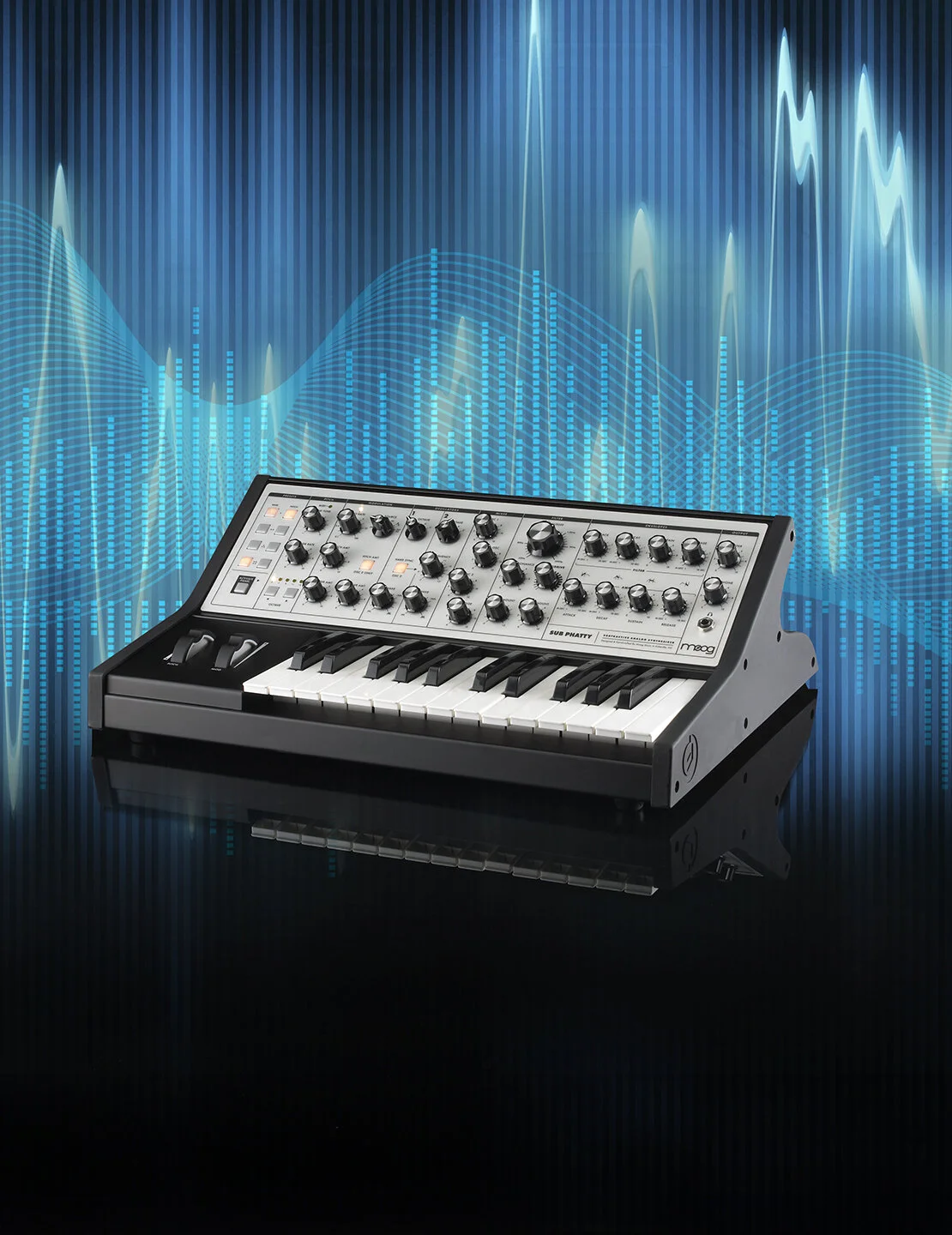Moog_2.jpg