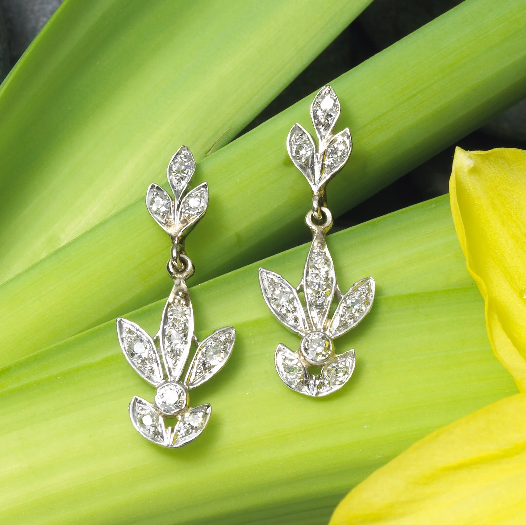 SG Jewelry-4.jpg