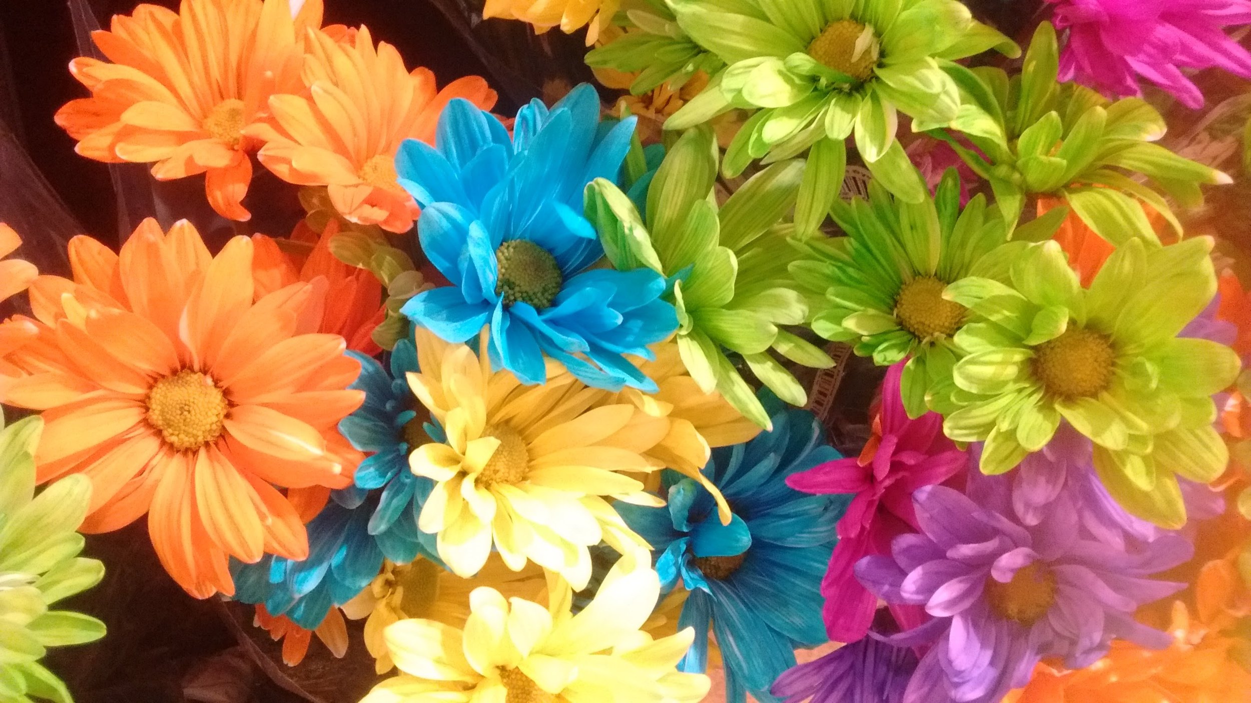 Cleaning up my apartment, and displaying fresh flowers also helps center me, and my girl loves it!