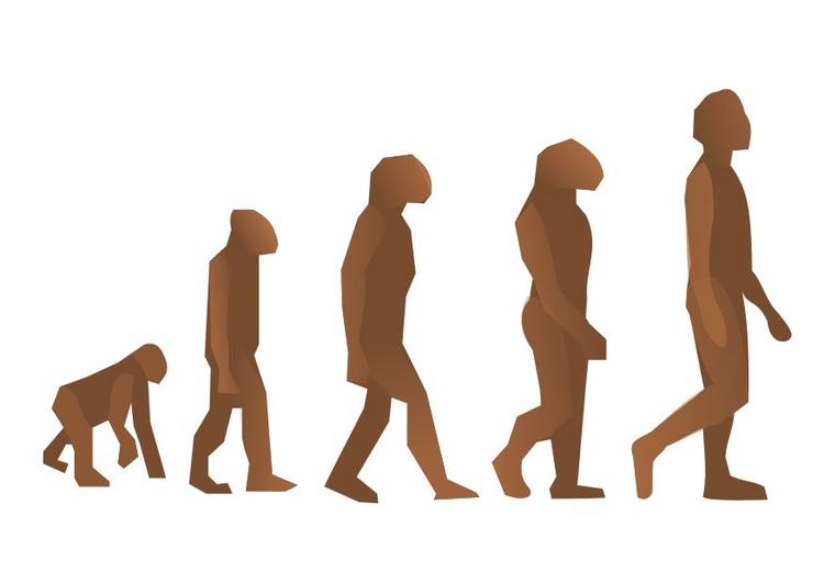 I want my stand-up to evolve into something intelligent. 