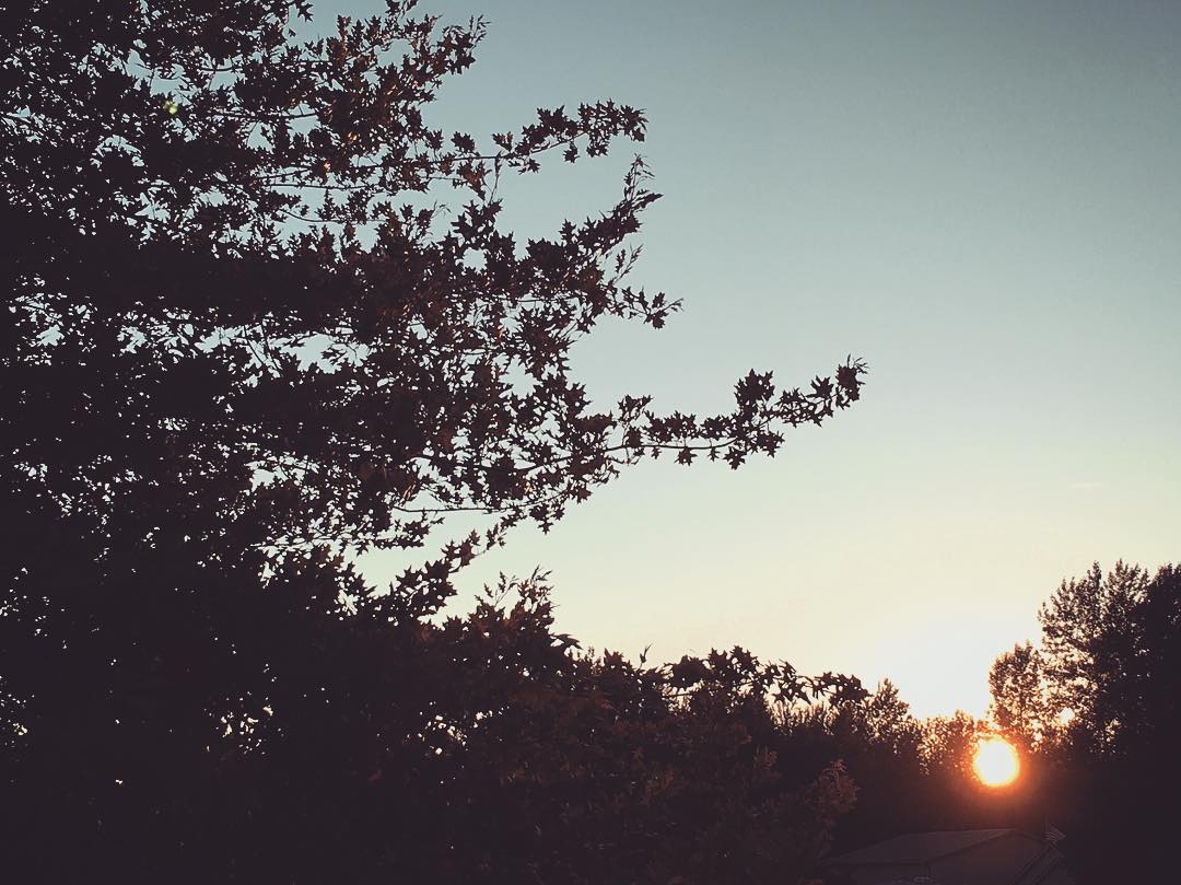 Slow, slow sunset here in the Washington woods. 