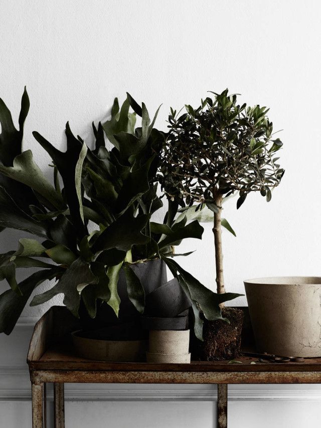 Stylist, Lotta Agaton , Photo, Kristoffer Johnsson