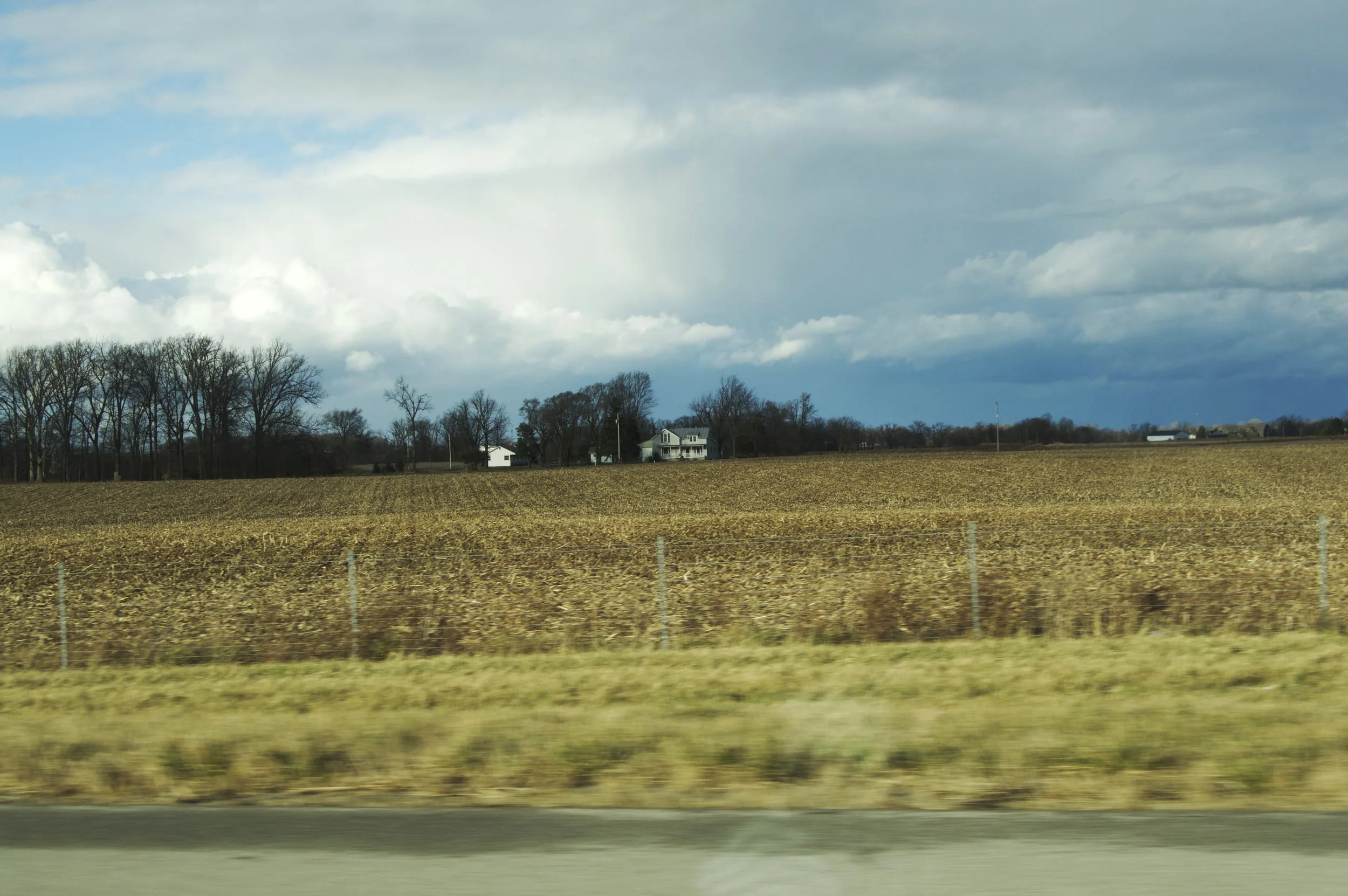 Are those cornfields?