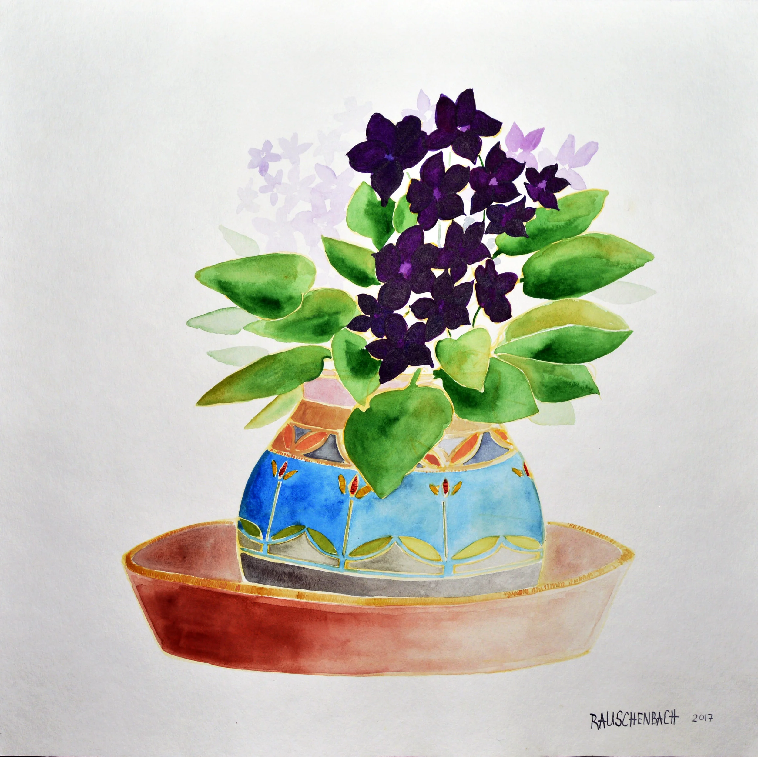 Grandmother African Violets 