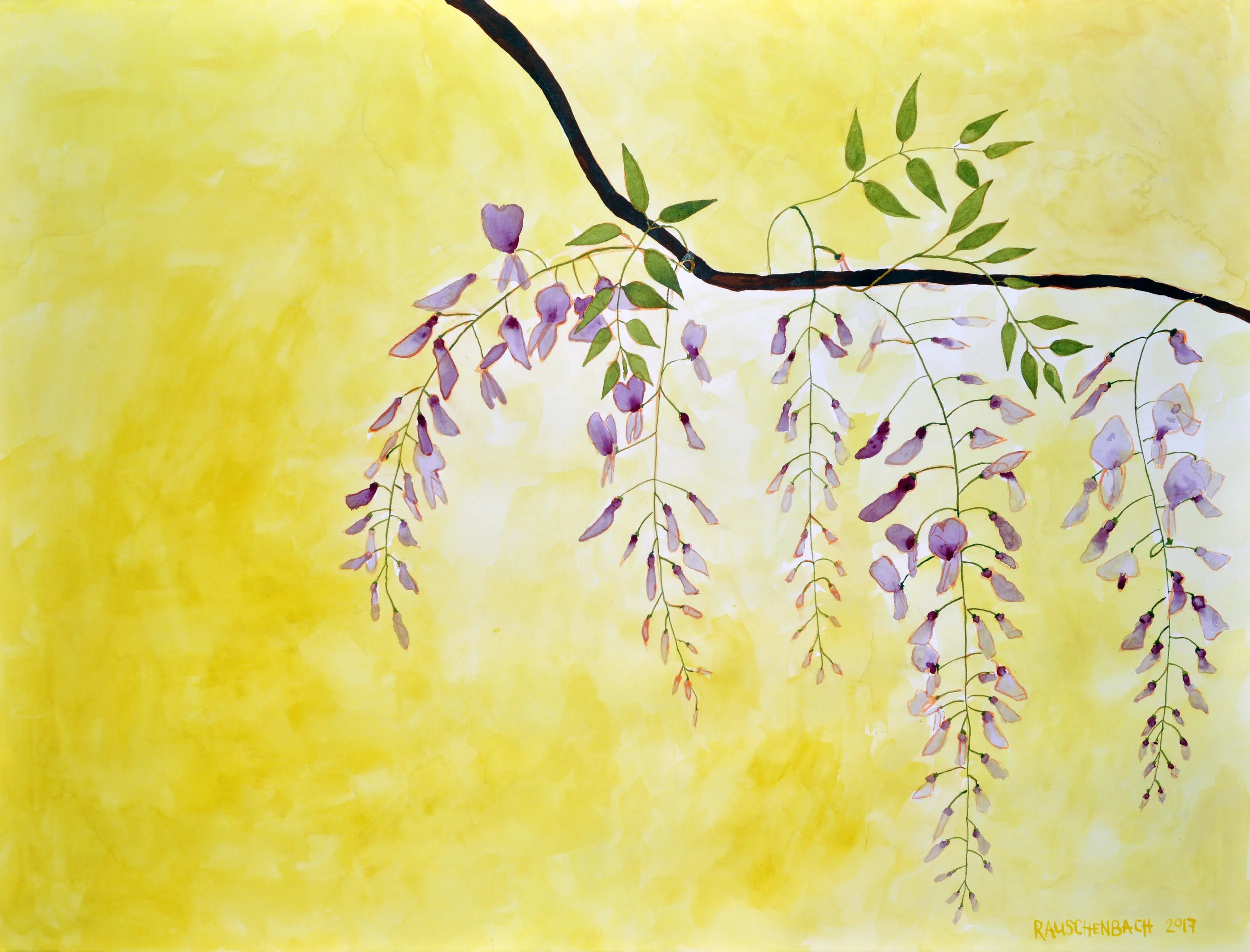 DeepYellowWisteria-Watercolor-2017.jpg