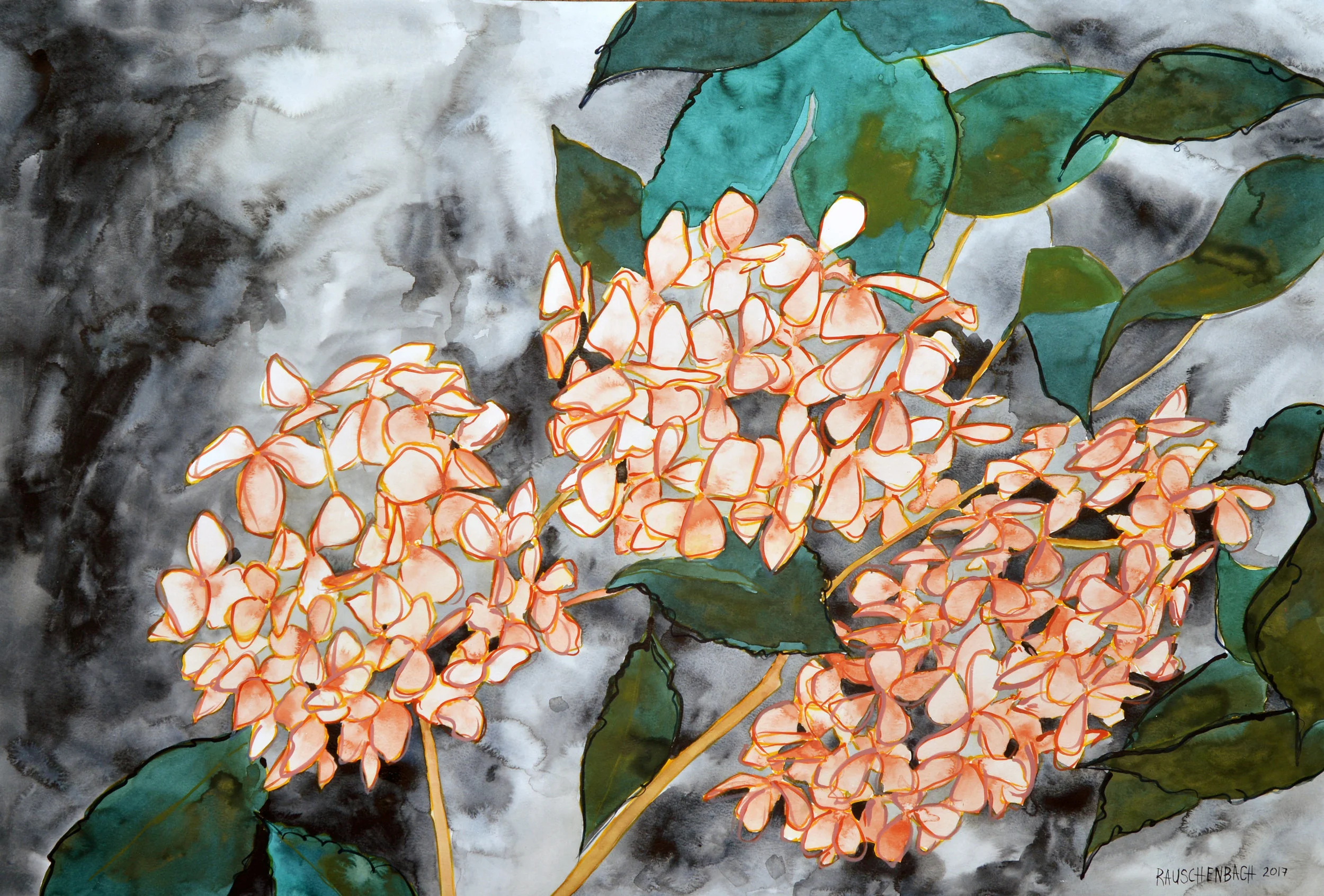 Hydrangea-Watercolor-2017.jpg