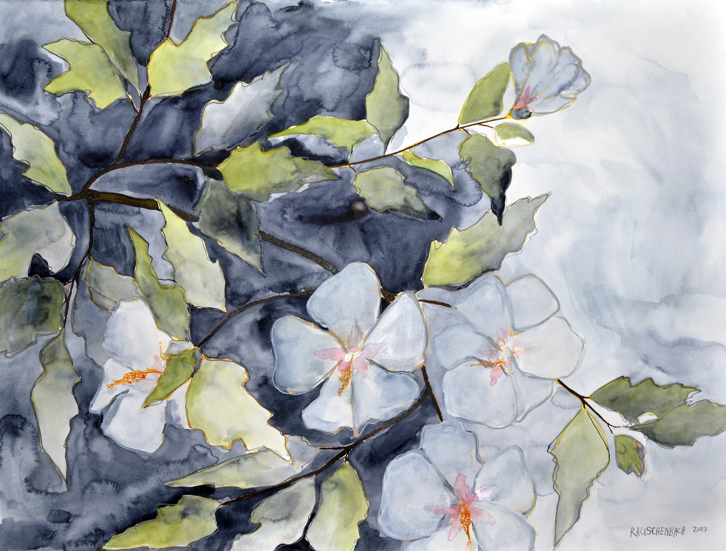 Hibiscus