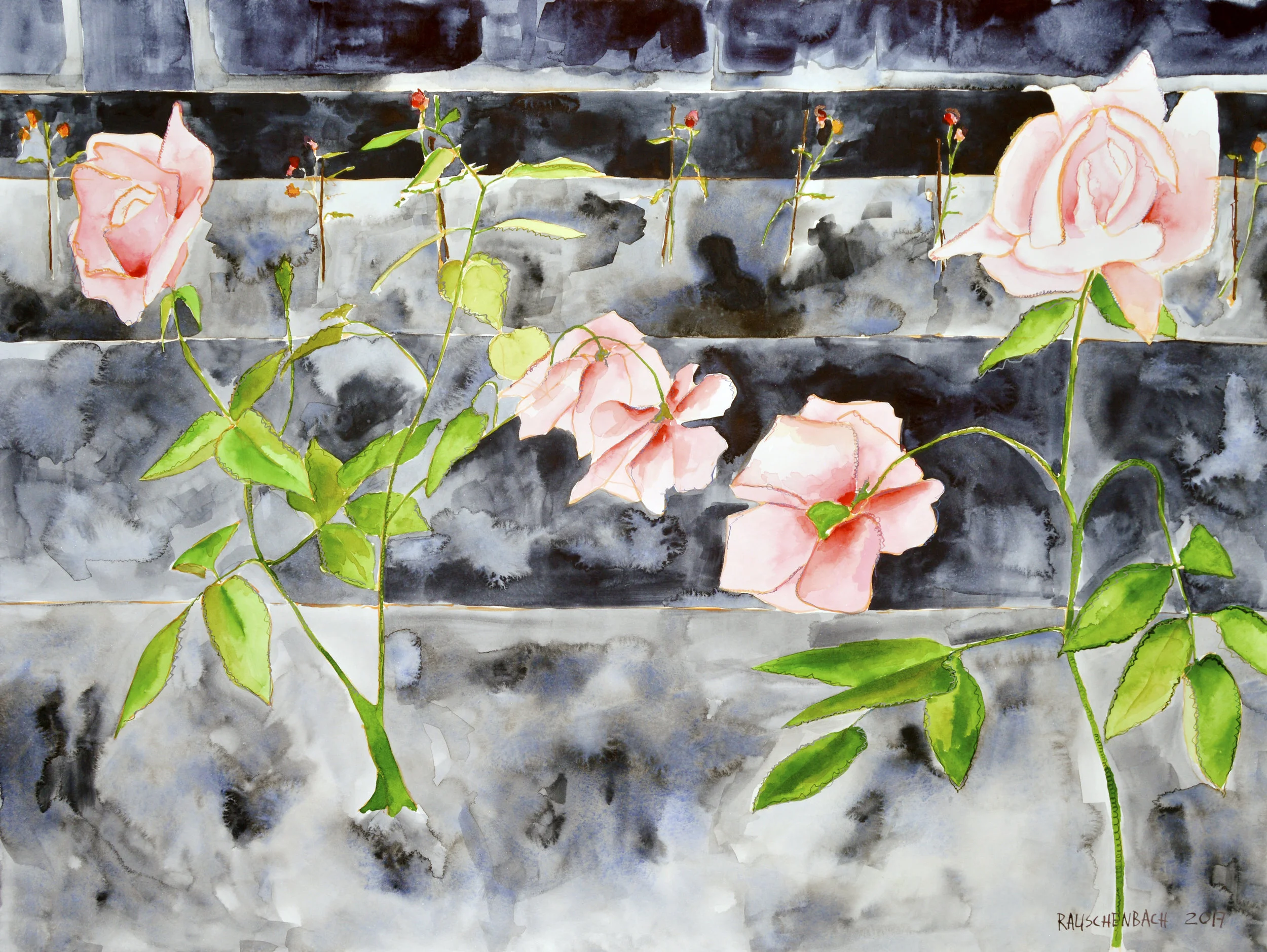 Rose Garden