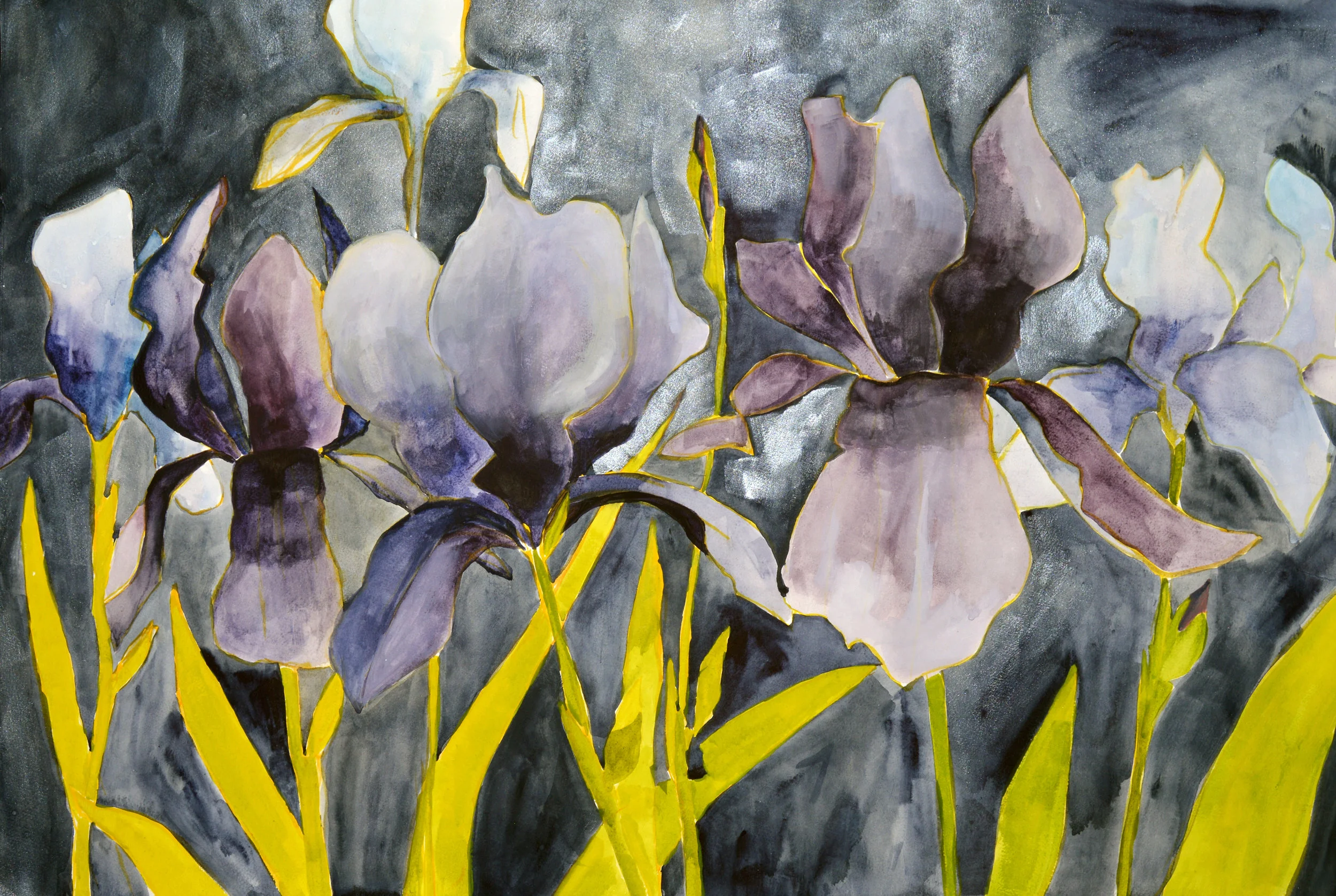 SixIris-Watercolor-2017.jpg