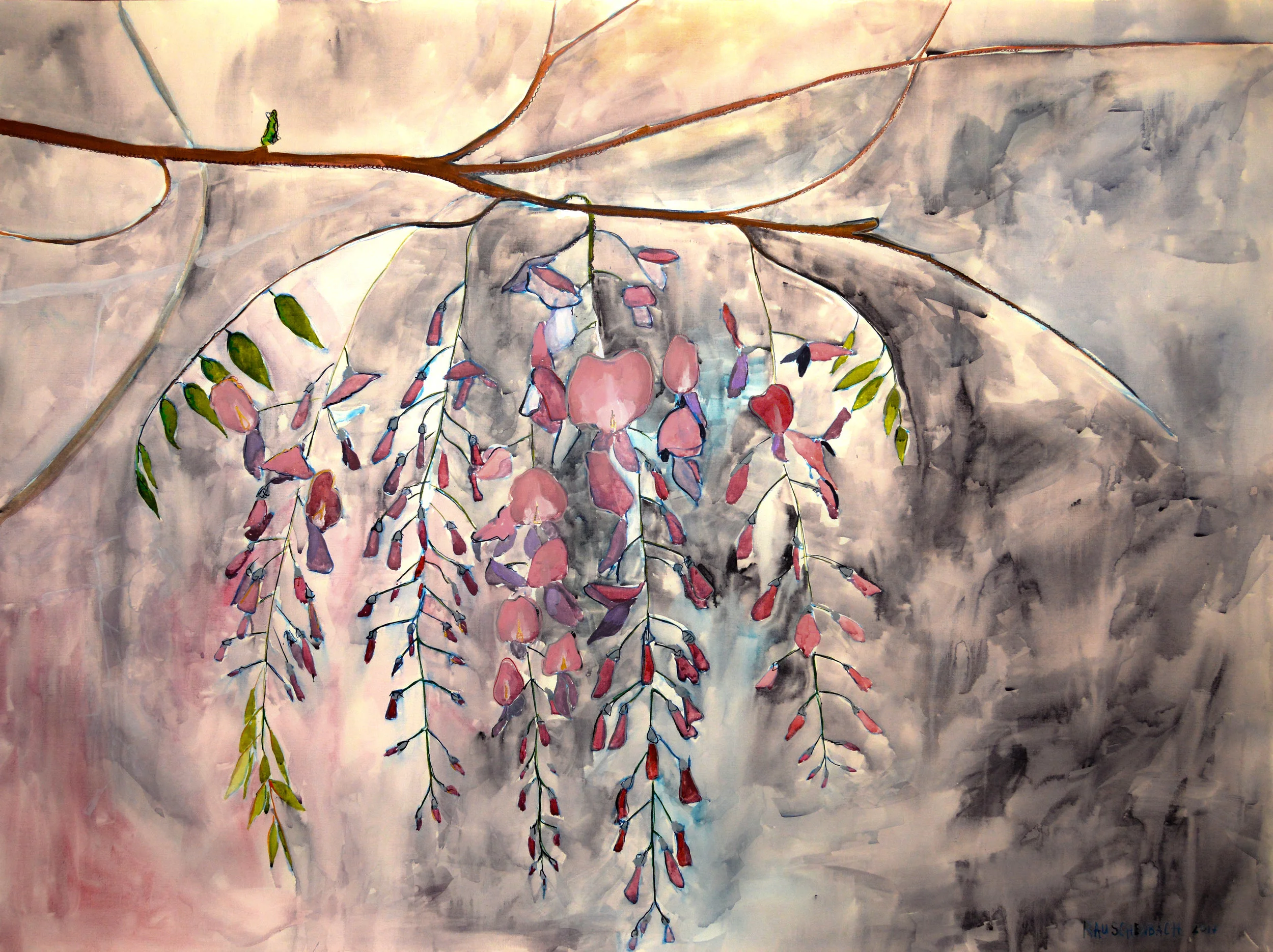 Wisteria