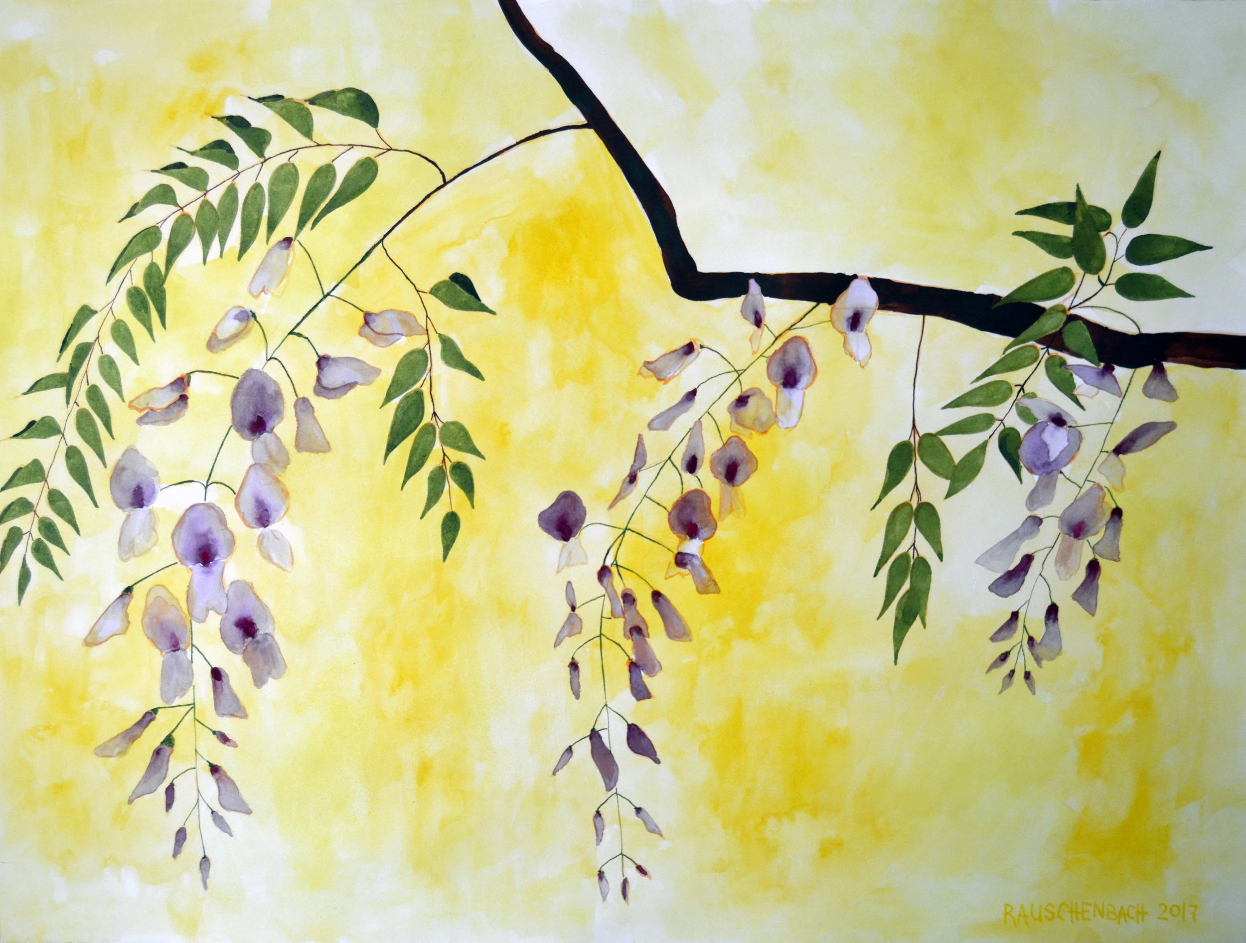 YellowHueWisteria-Watercolor-2017.jpg