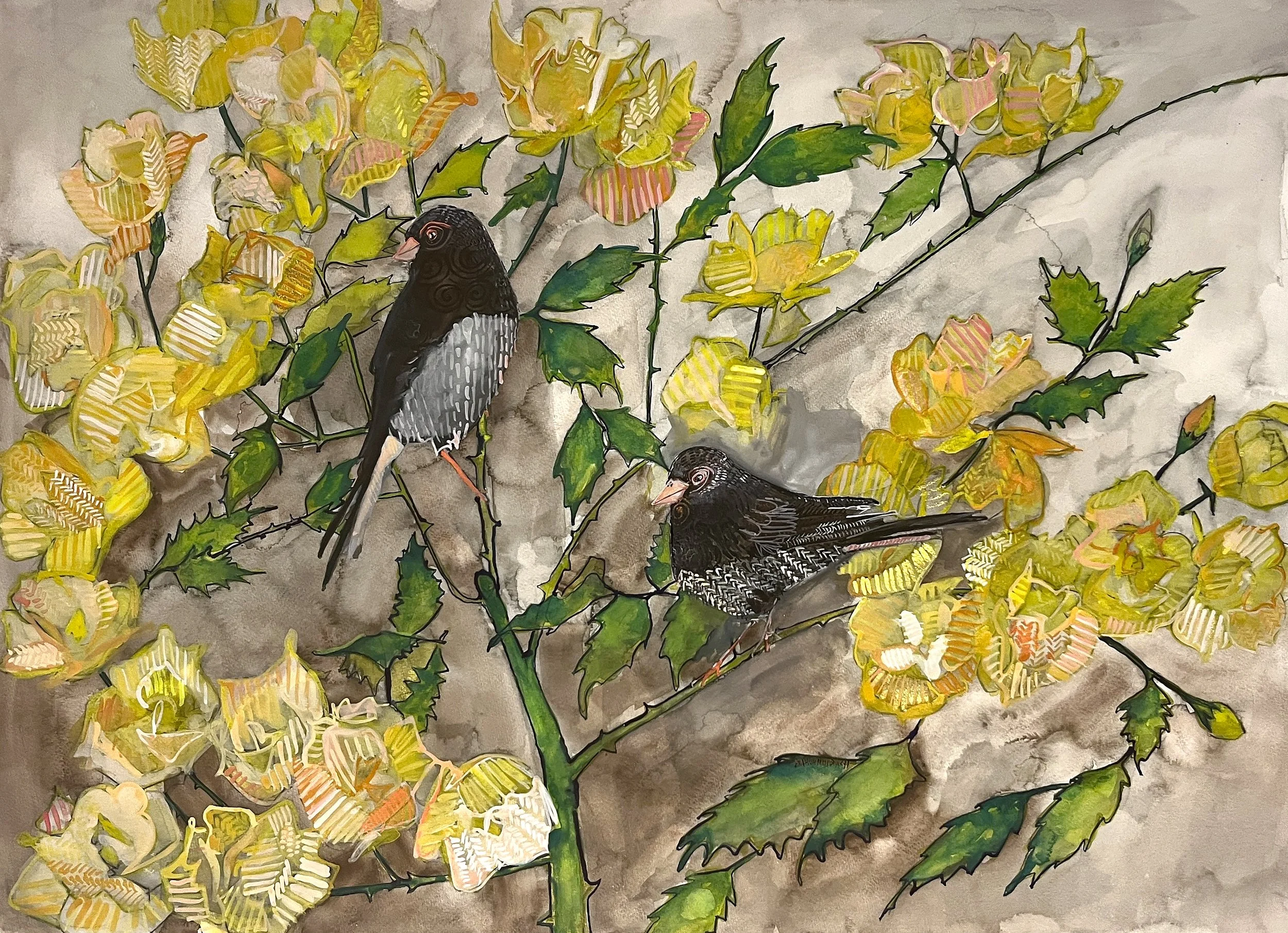 Junco and Roses