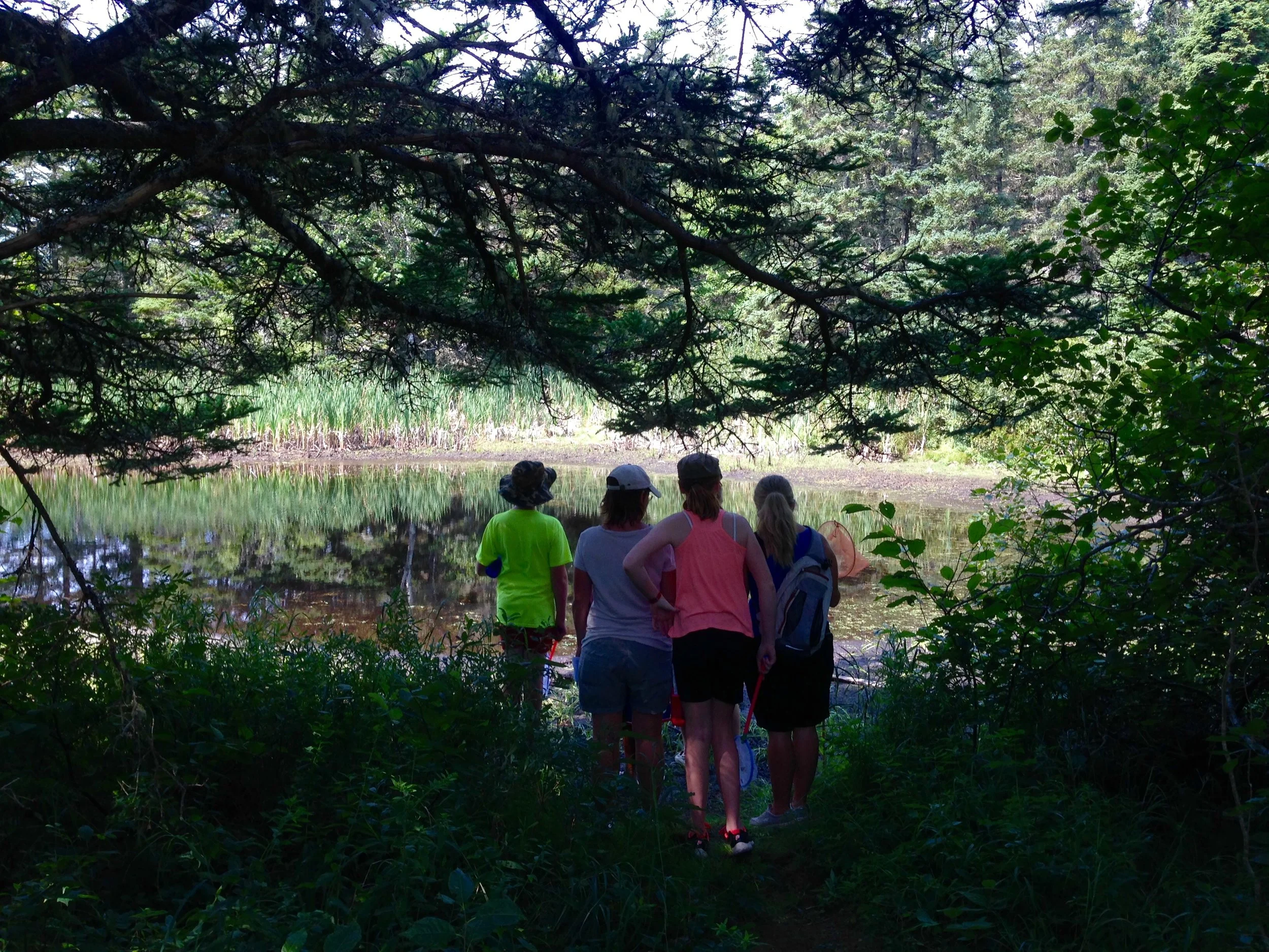 Watching the frogs - Nature Scavenger hunt Wild Wednesday 