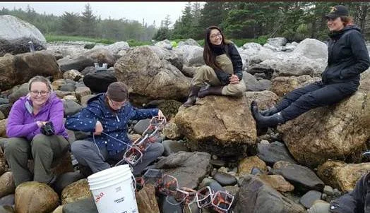 Intertidal working hard.. :)