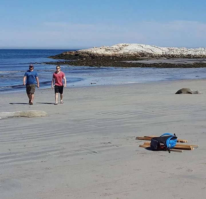 Intertidal doing research on the beach.. 