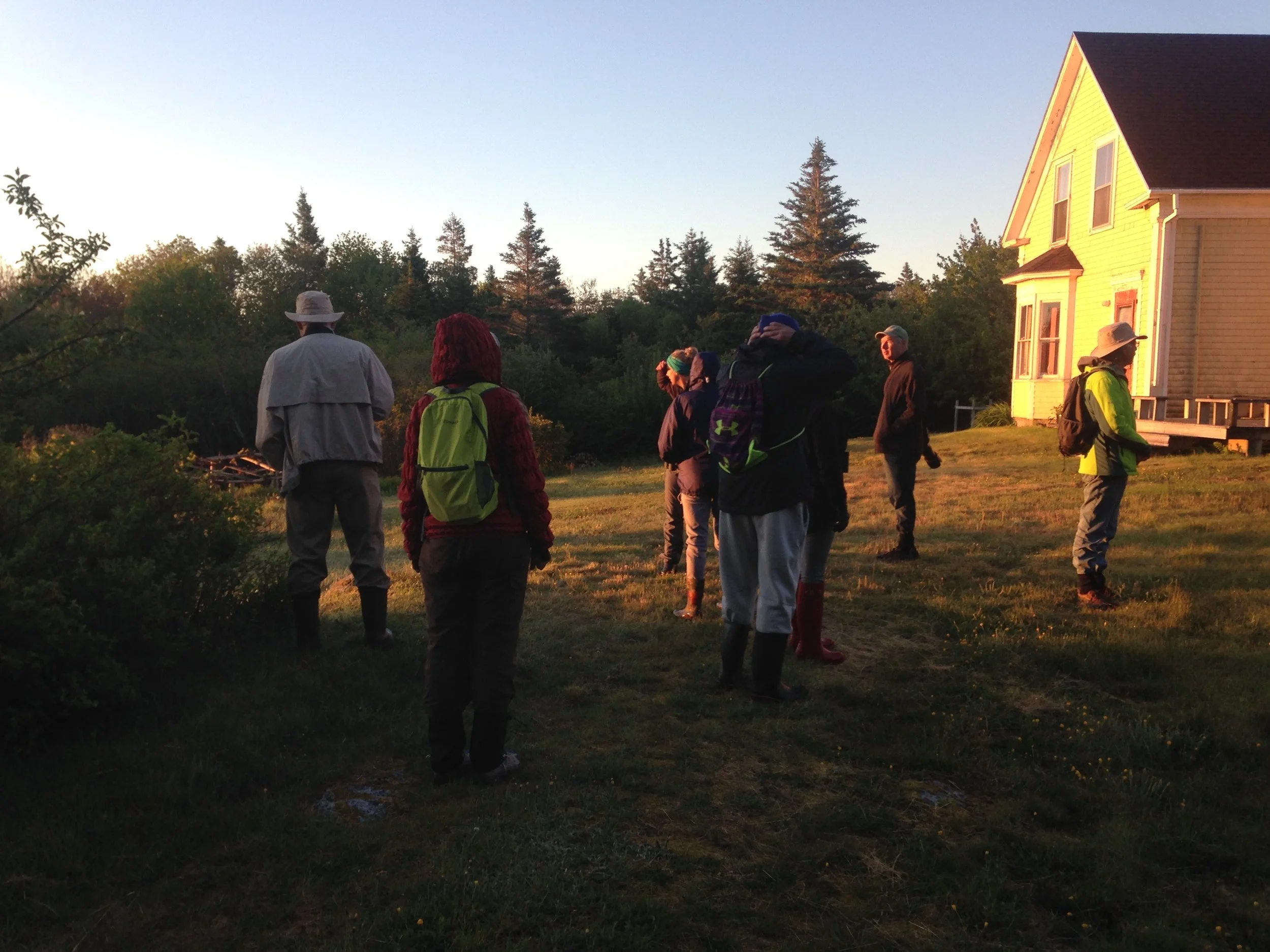 Birding-by-Ear workshop participants on one of their dawn chorus walks