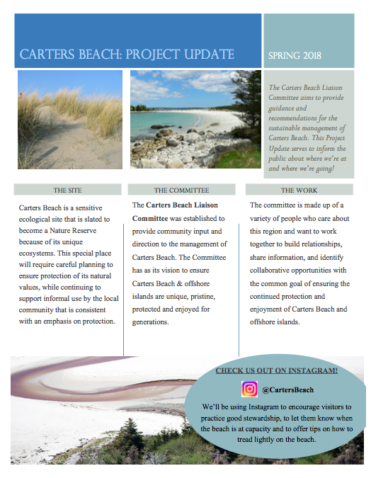 An example of some of the interpretive and educational material I'm working on for Carters Beach. This Project Update will be circulated to the community so that everyone can be kept in the loop! 
