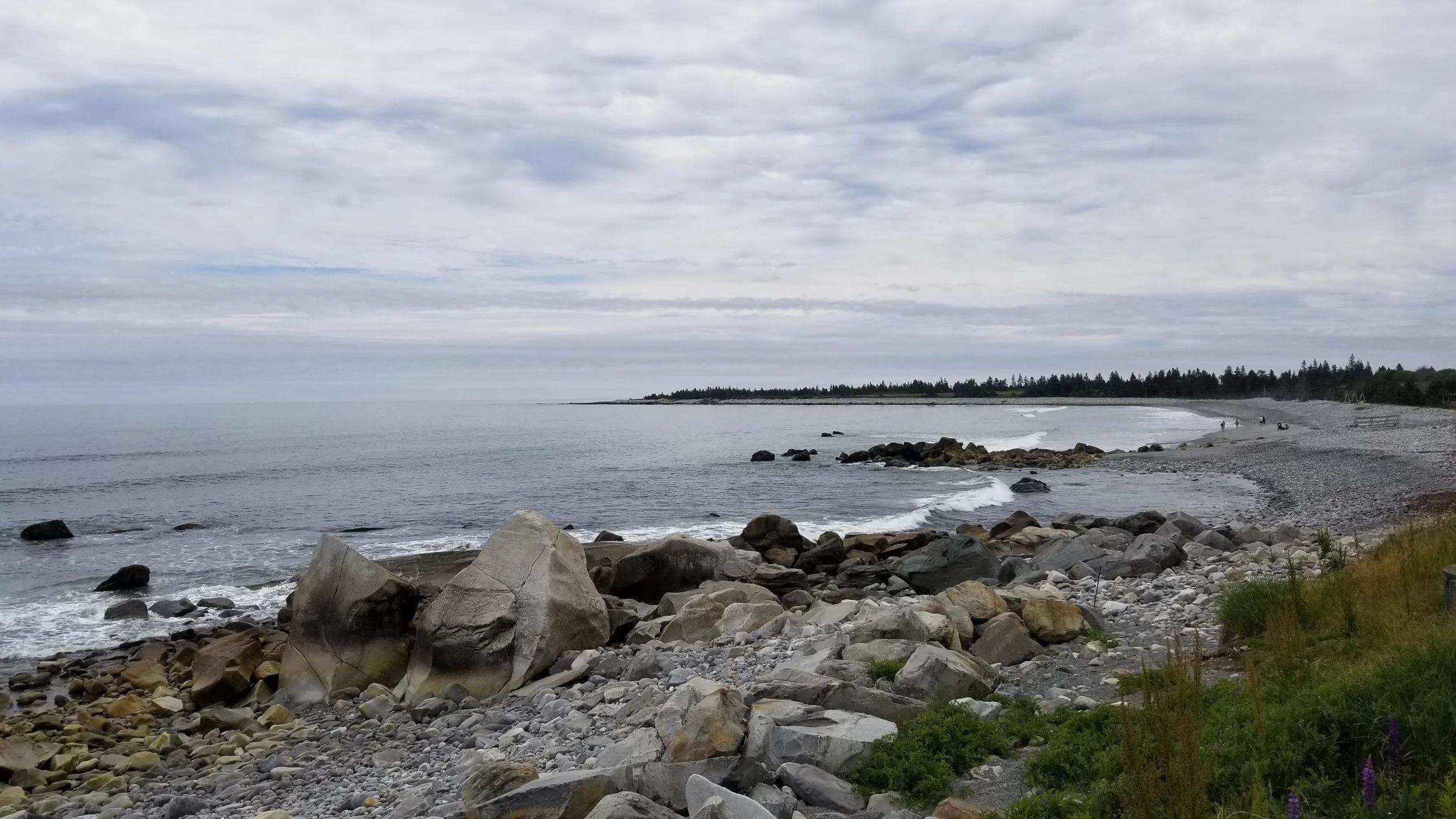 20180623_133756.jpg