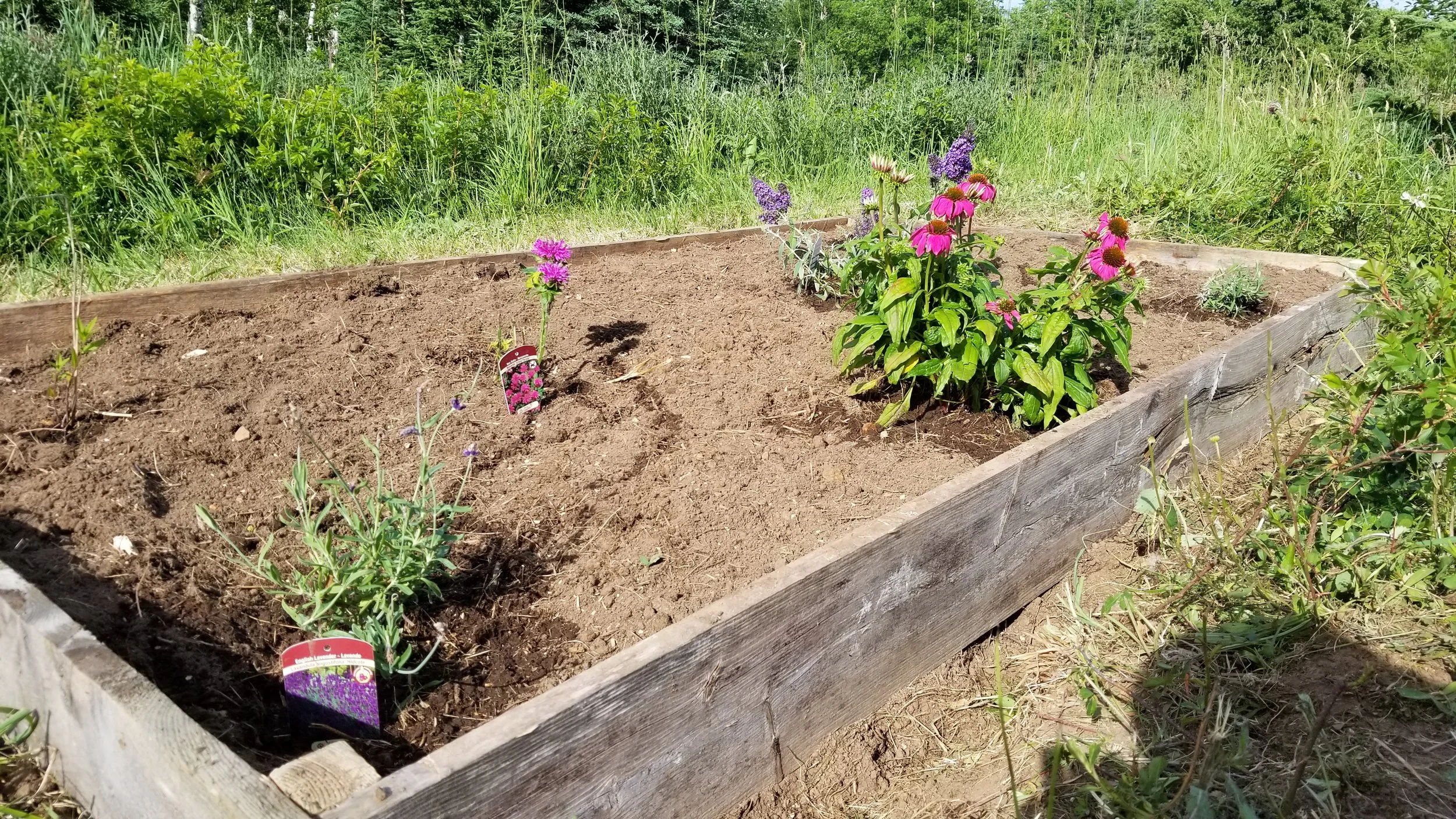 20180627_173226.jpg