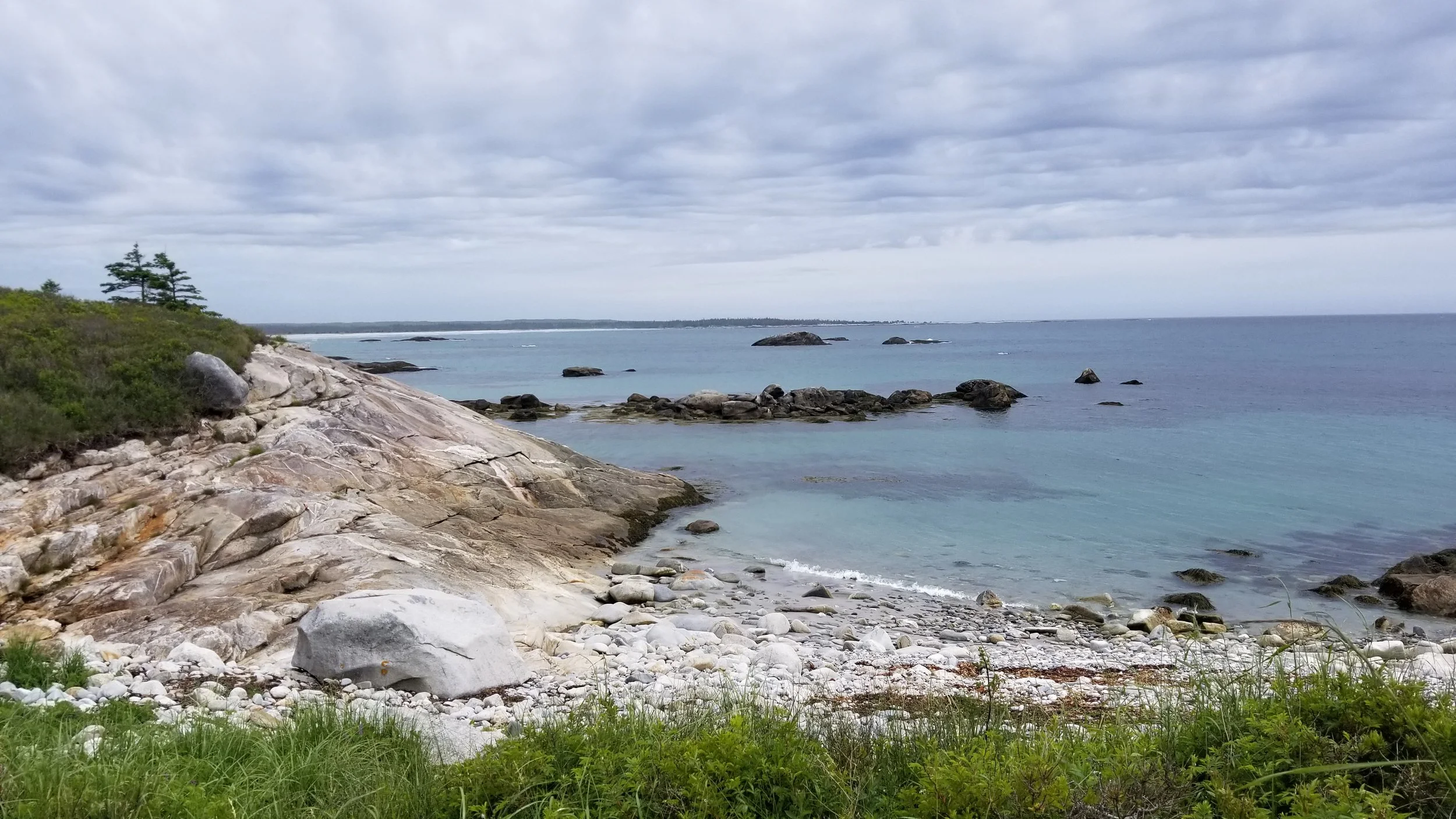 20180628_115604.jpg