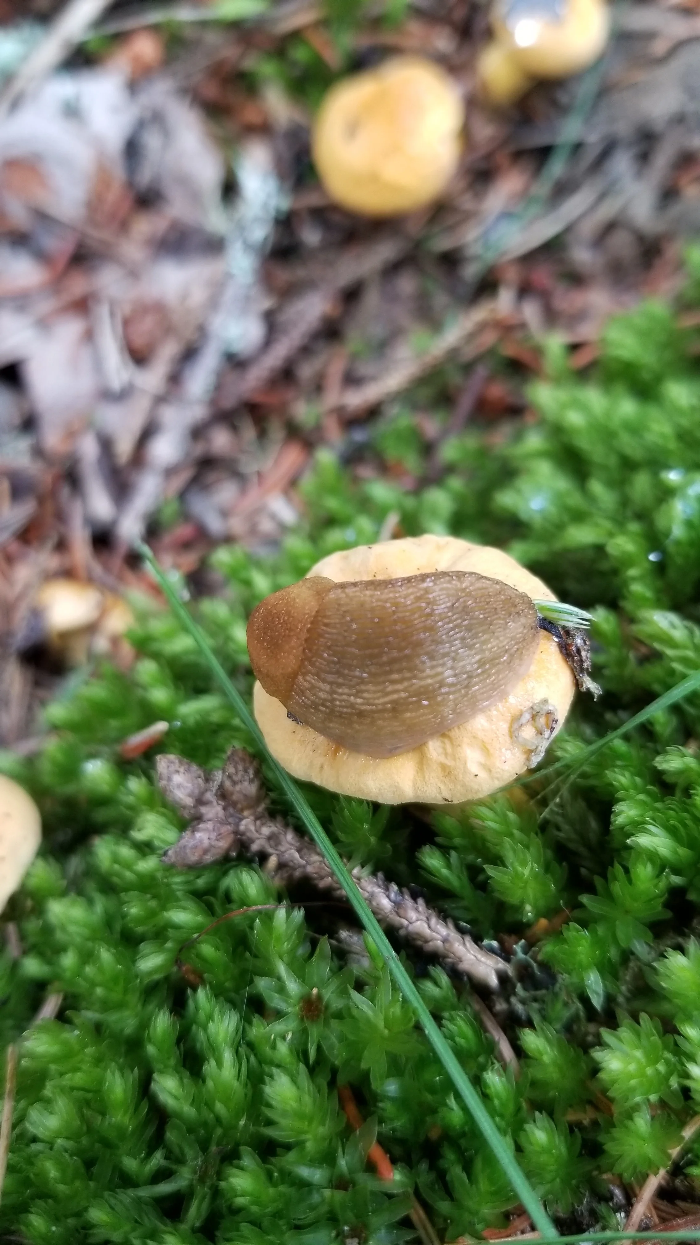 20180711_145345.jpg