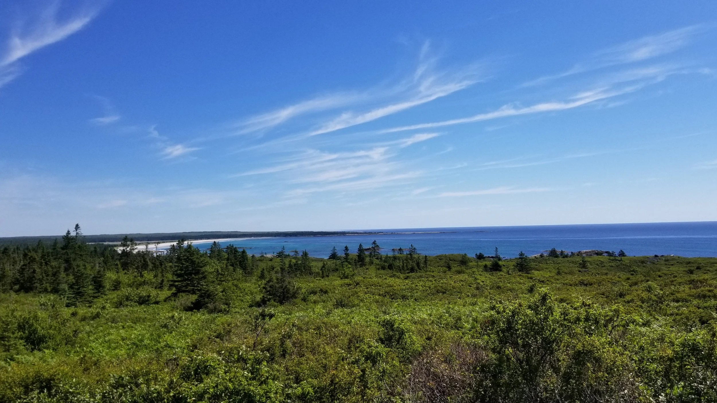 20180708_103312.jpg