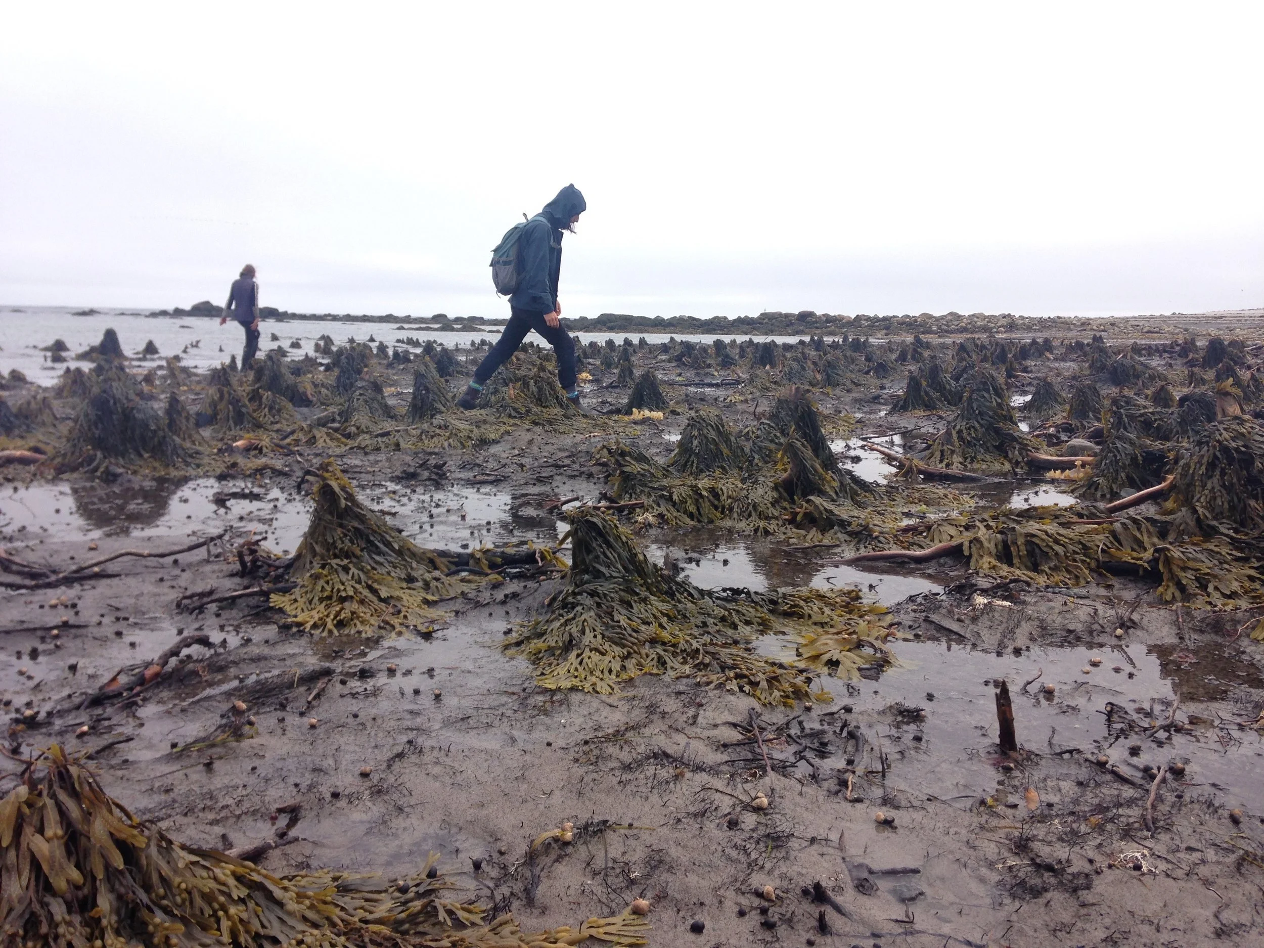 Jamiel & Jessica exploring the drowned forest