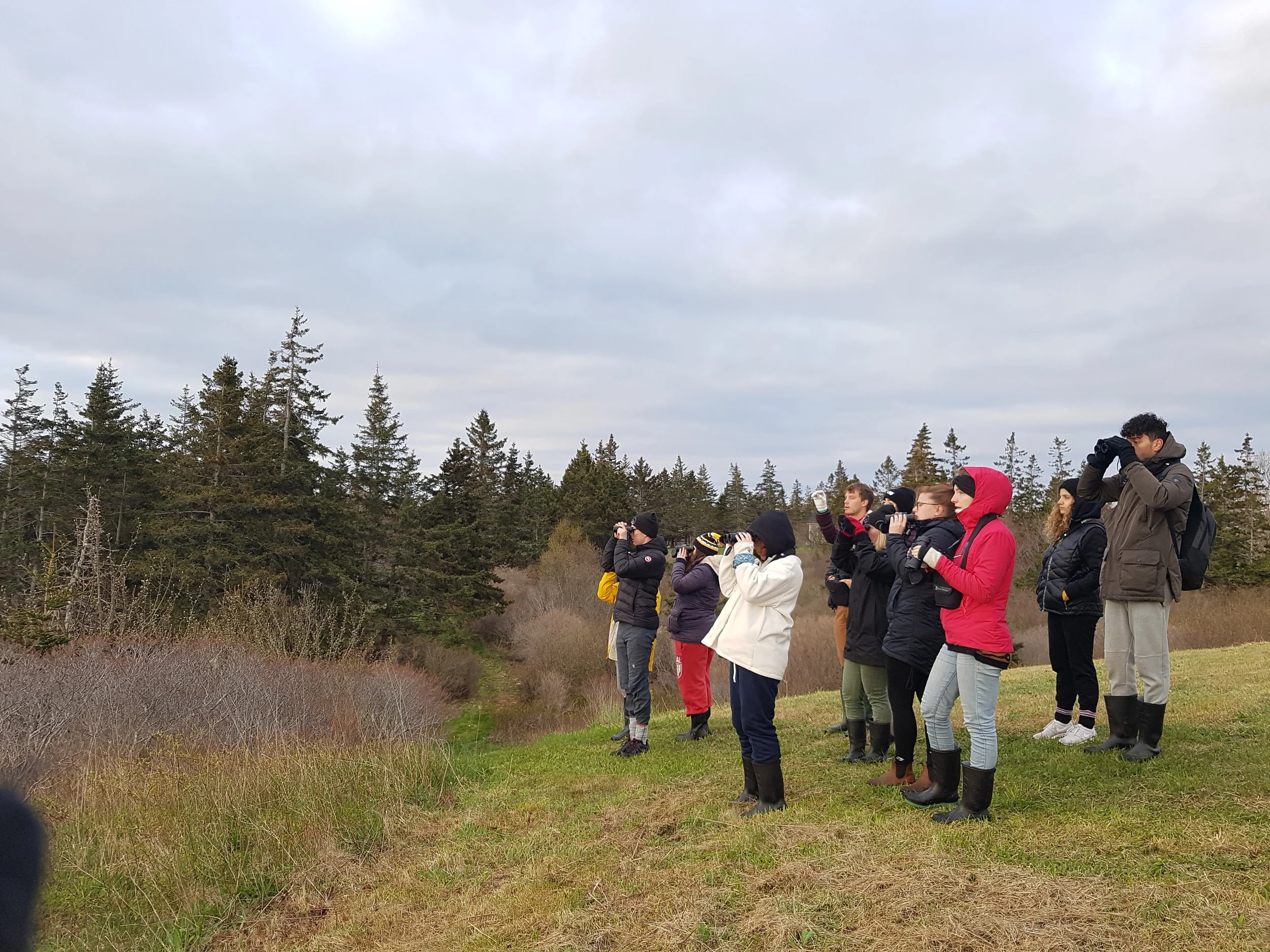 Dalhouse SEASIDE Ornithology students scouting for birds. Photo by Dr. Sarah Gutowsky.