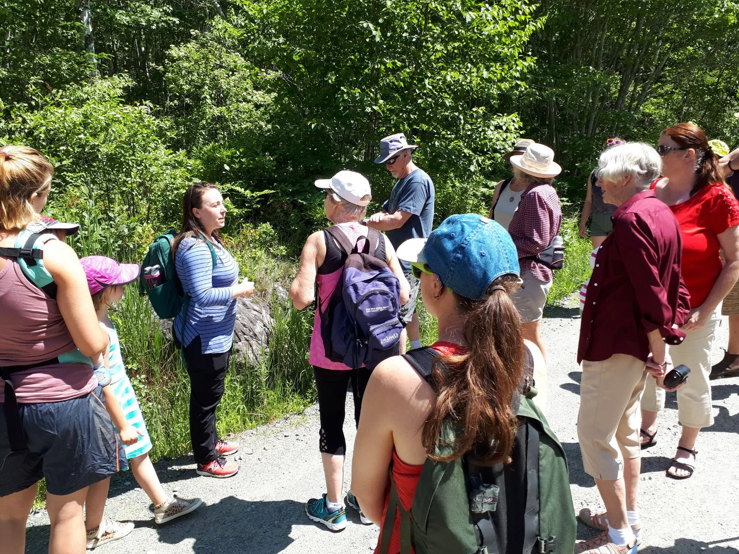 Busy bees &amp; busy bodies! 