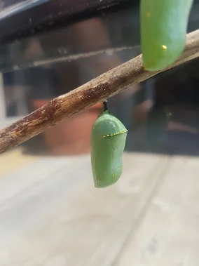 20190815_123943.jpg