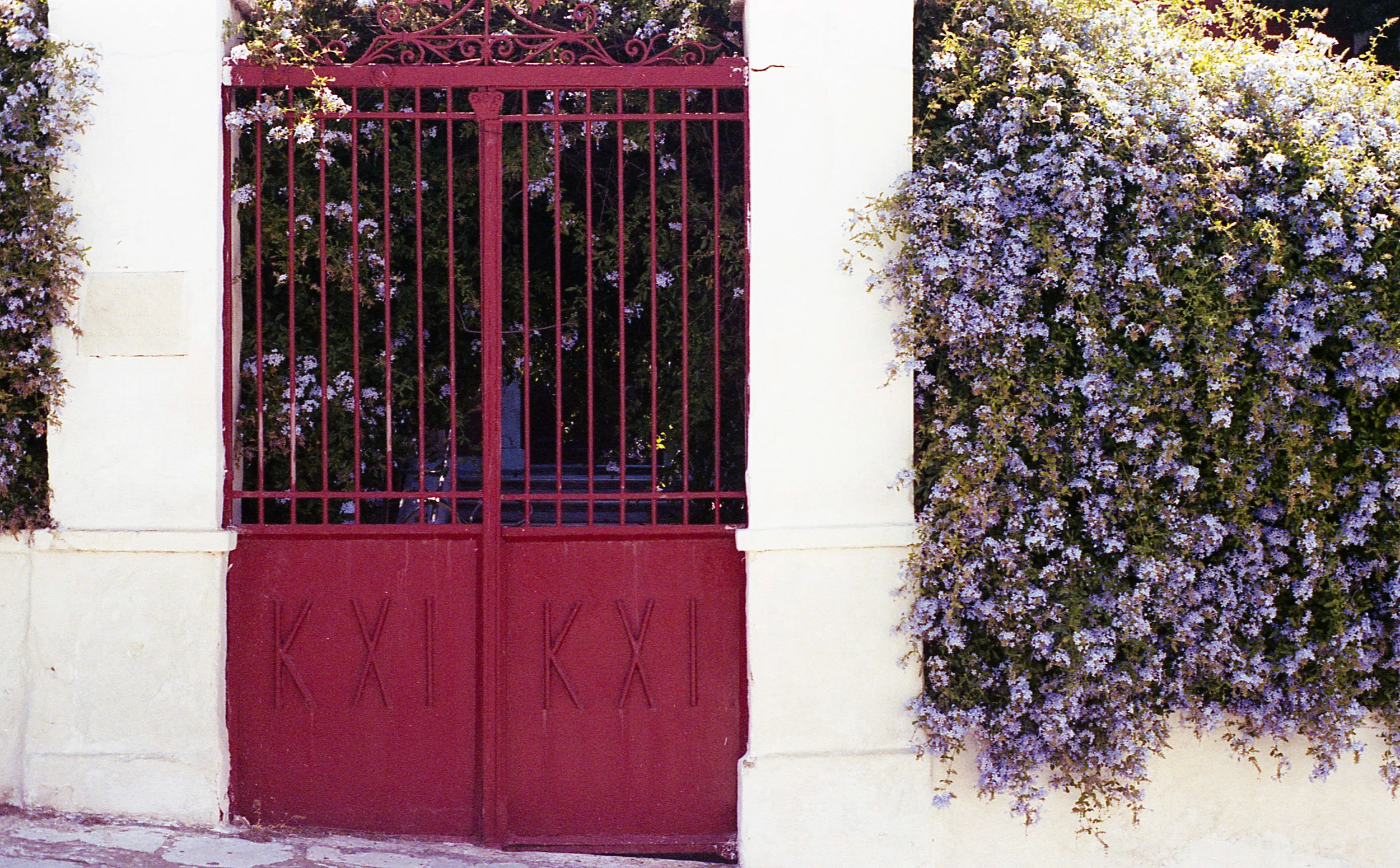 Tinos-20.jpg