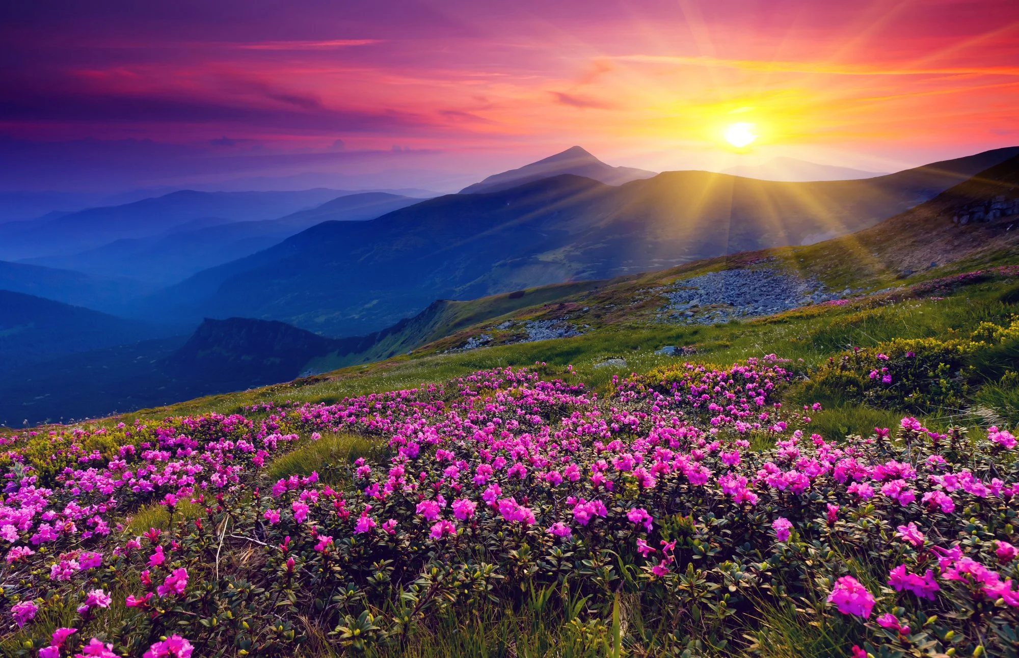 Sexual Compulsion &amp; Addiction Recovery