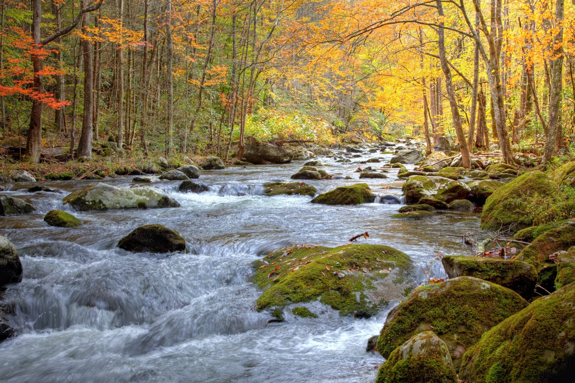 Life Transitions &amp; Stress