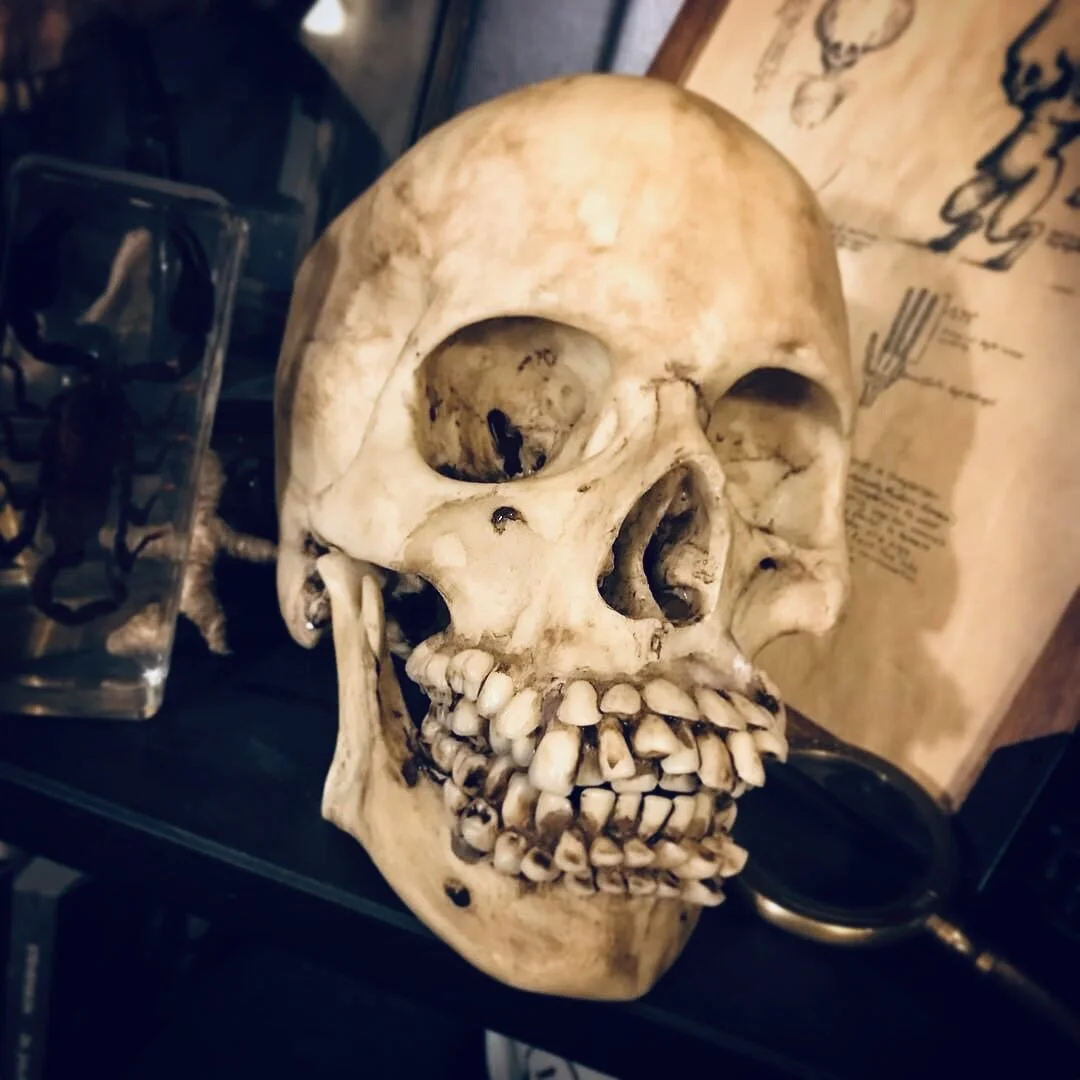 CF3CE5AD-9A4C-4BD7-9E24-940903D6D33A