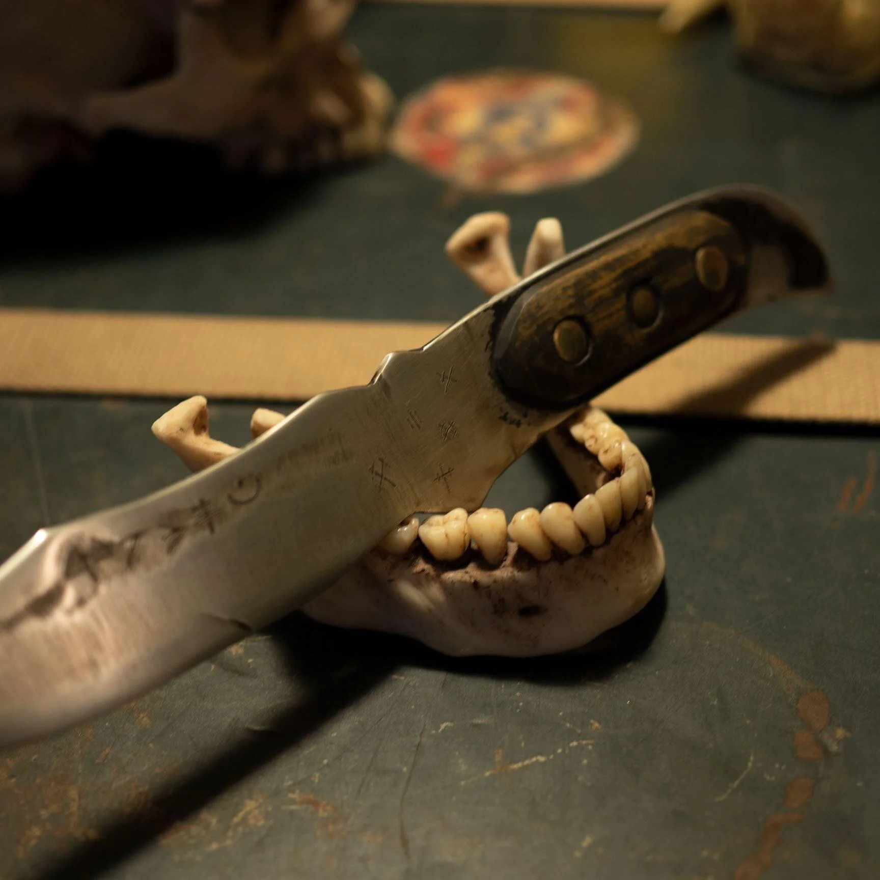 6EB069E9-BC1A-4314-AF70-1561916E3C38