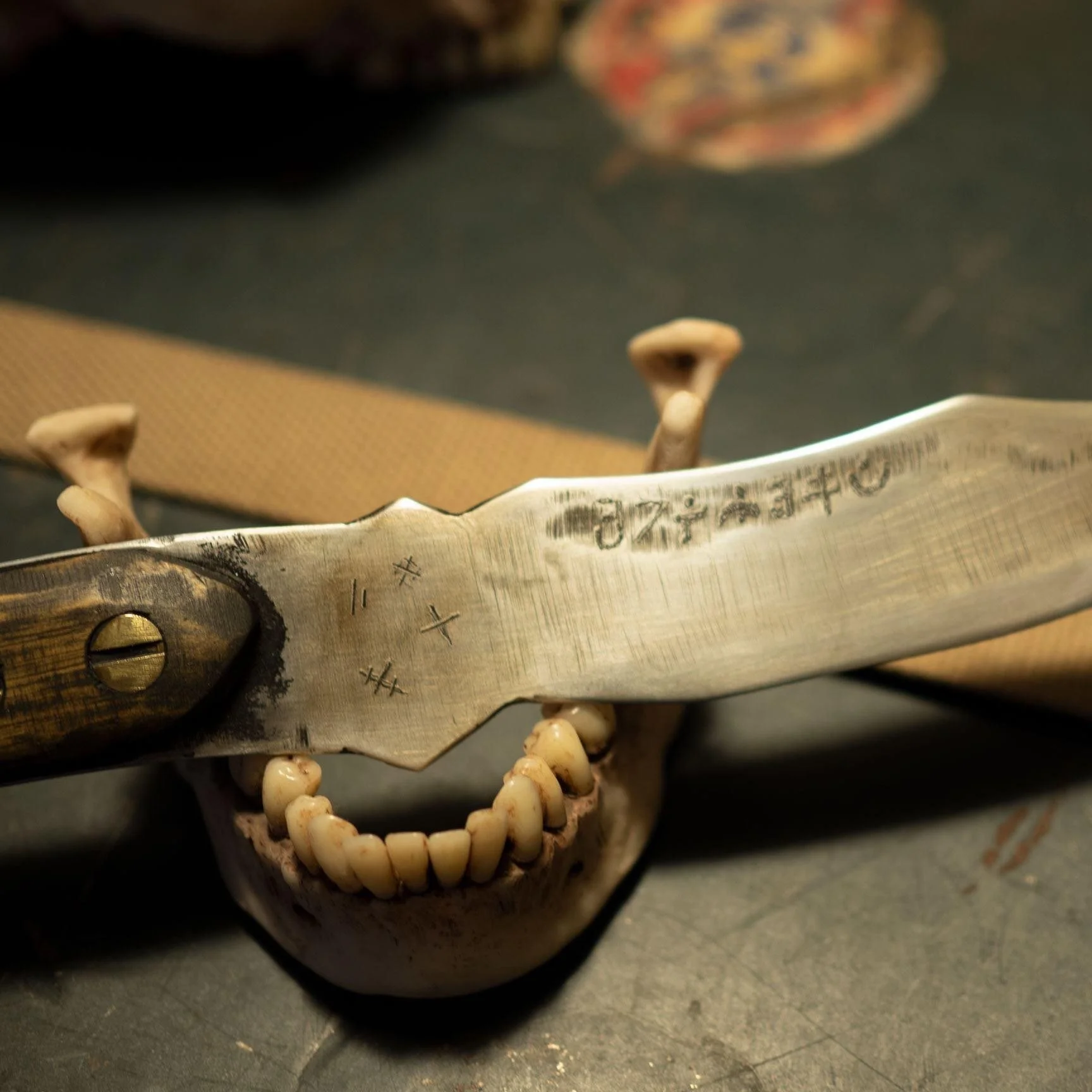 09442814-4FD9-4D96-B885-D50649D565F0