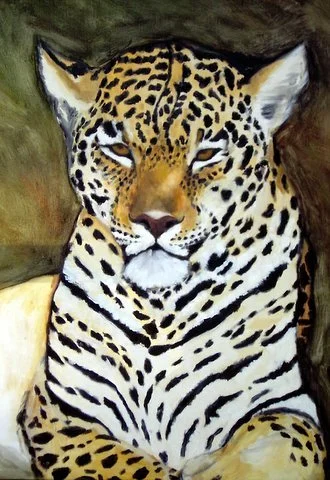 lazy leopard