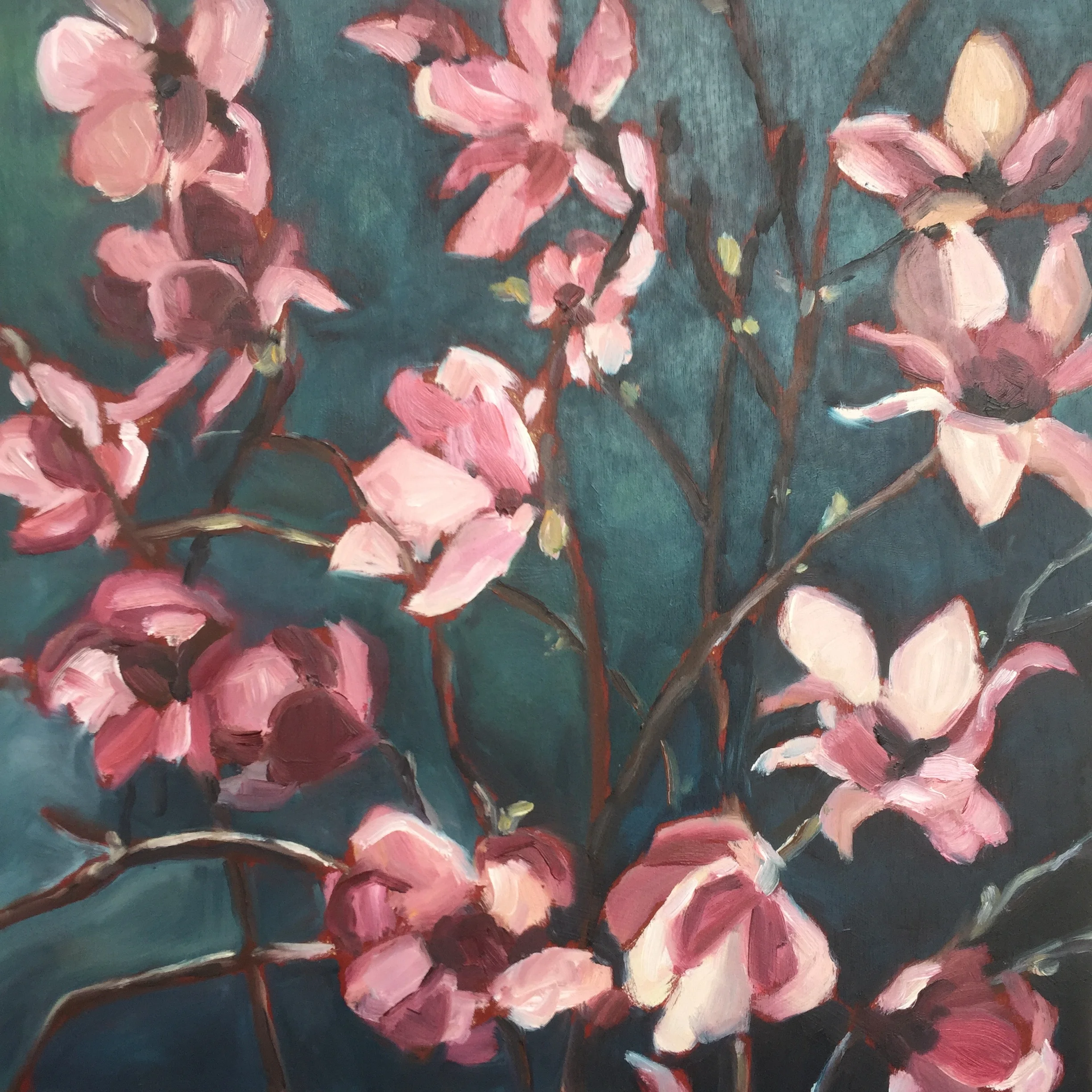 magnolias