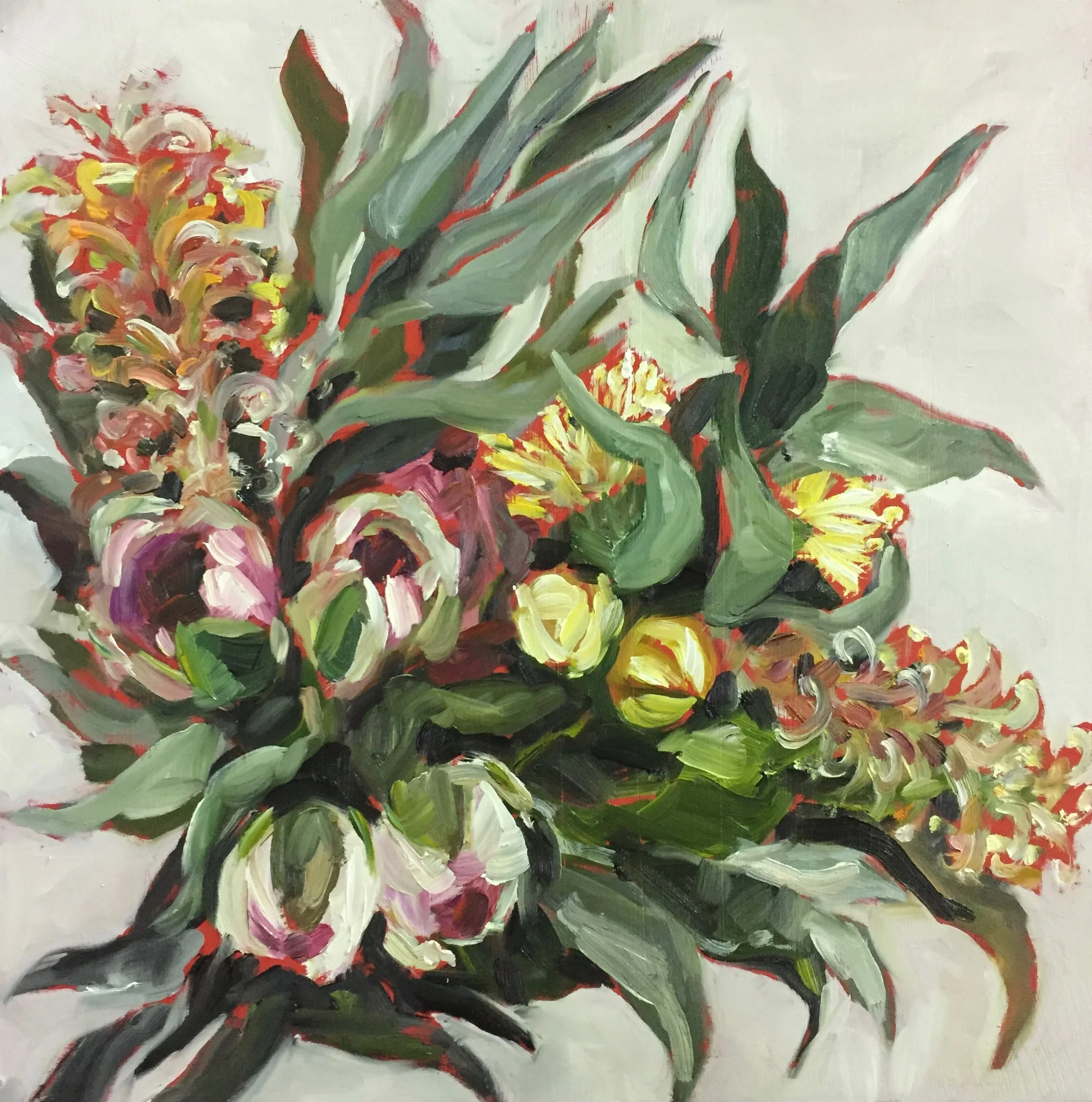 australian natives