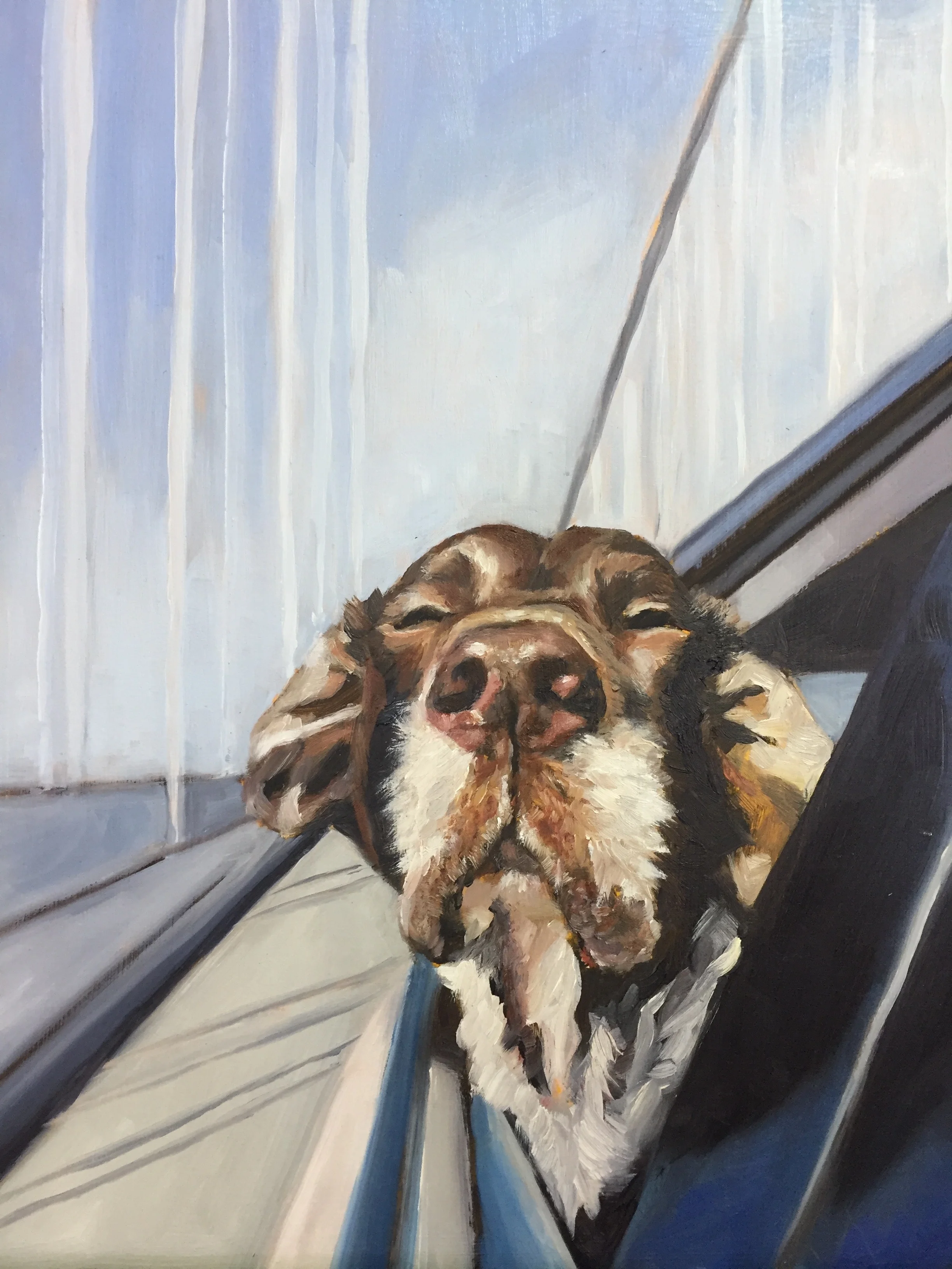 Joy ride