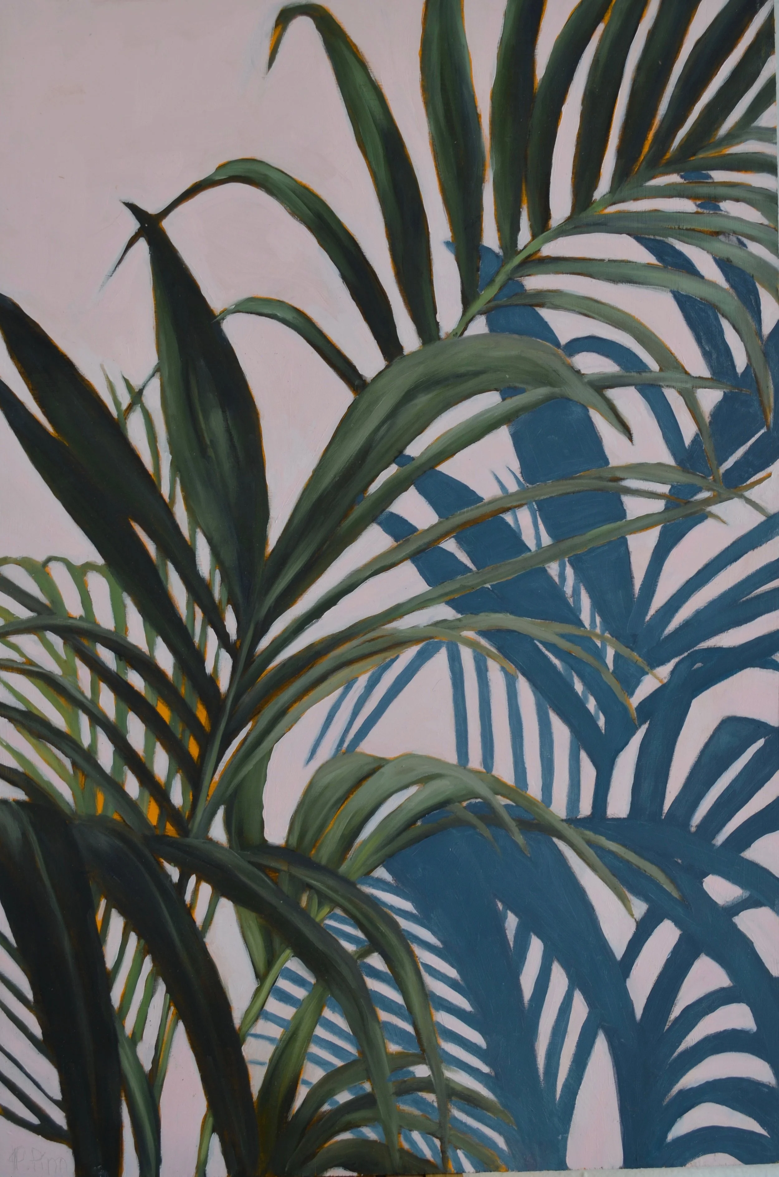 palm shadows