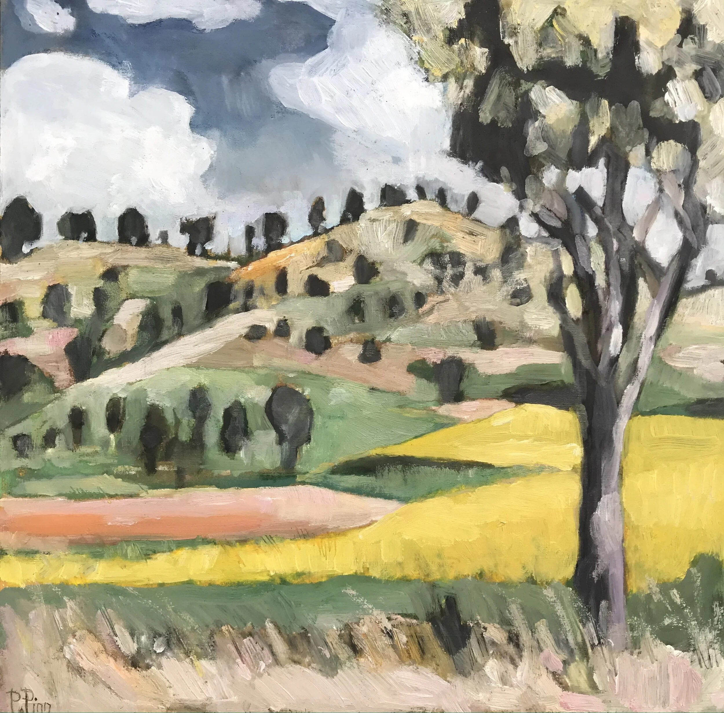 On the way to Mudgee