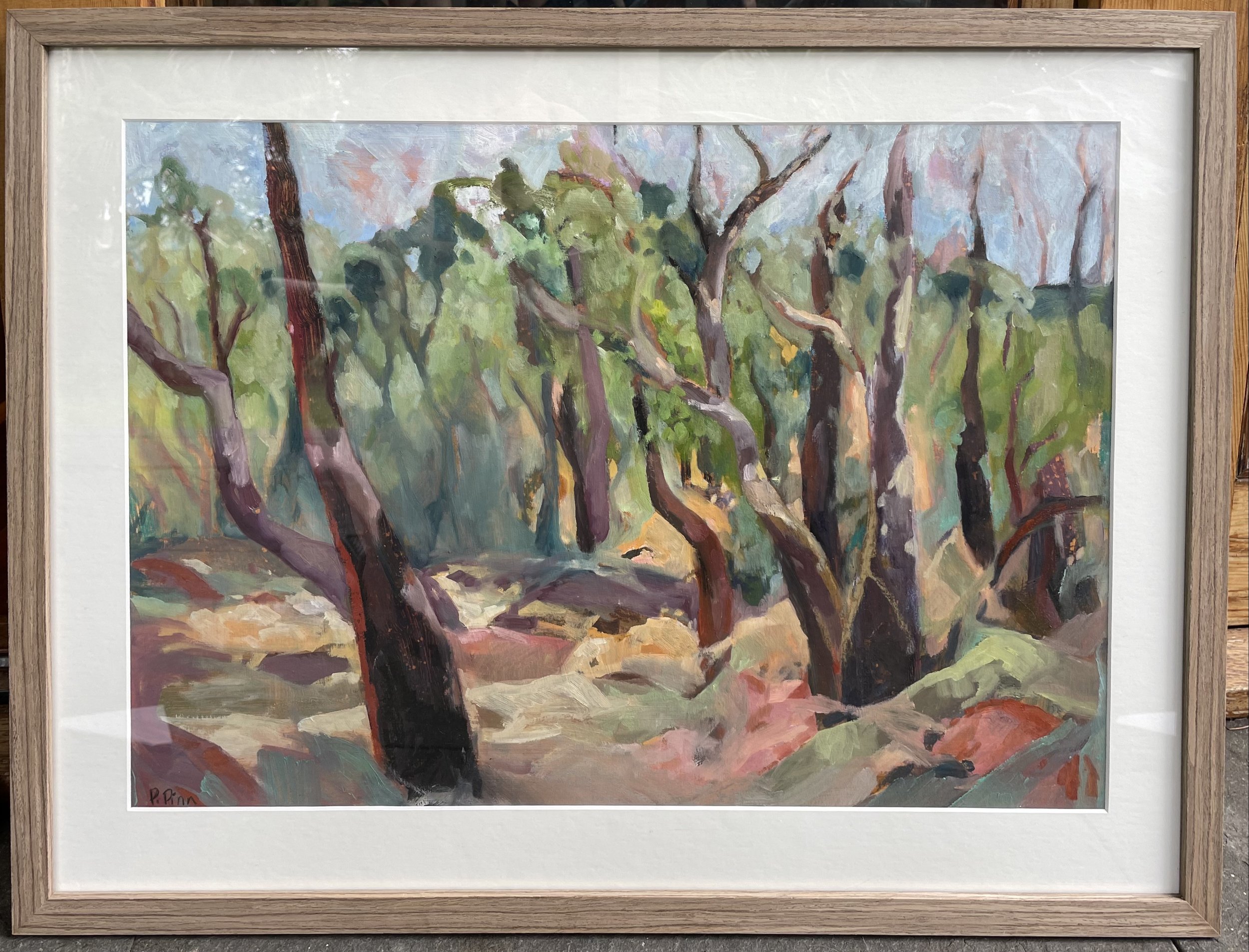 Another stop at Mt Canobolas