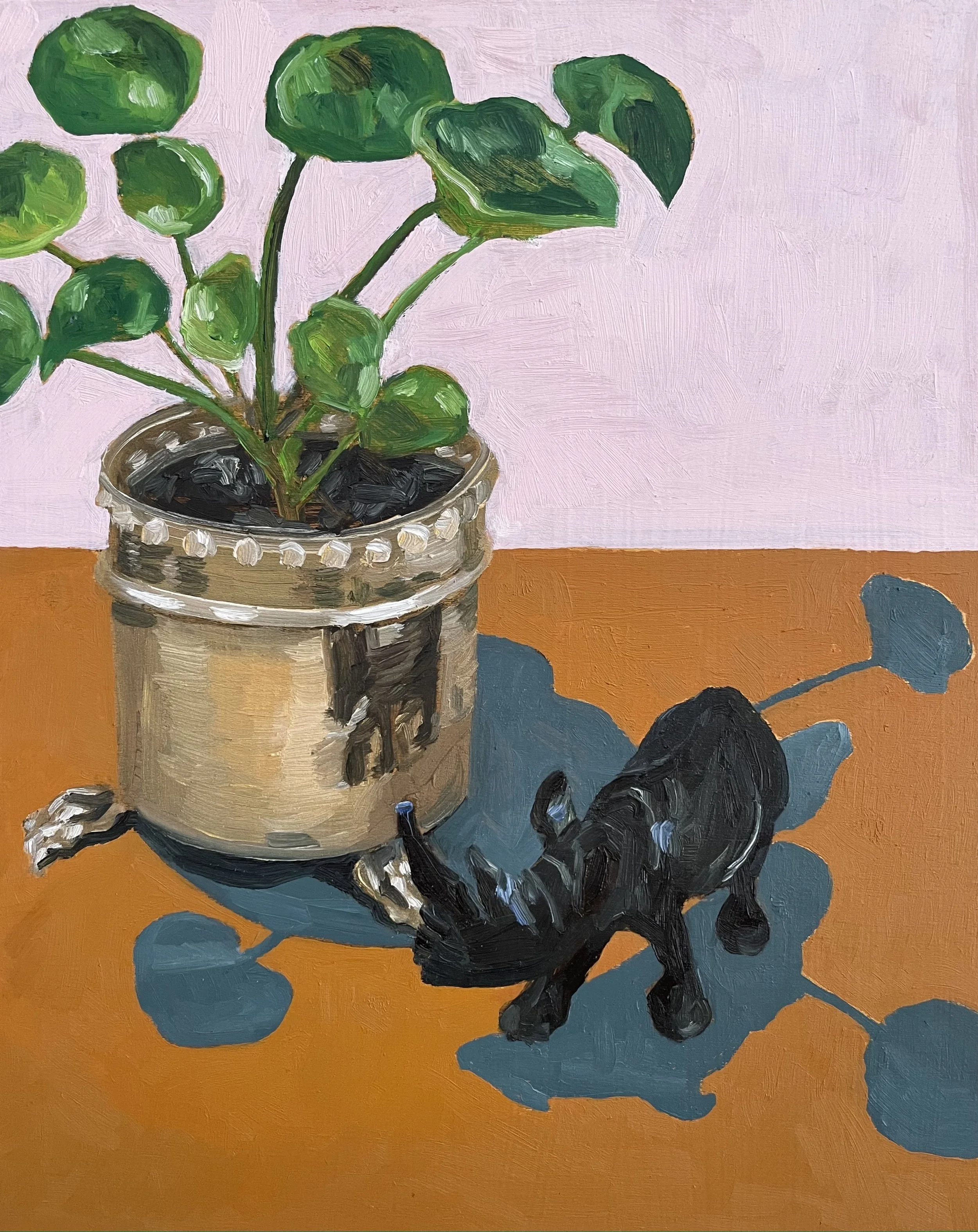 SHADOW GRAZING RHINO