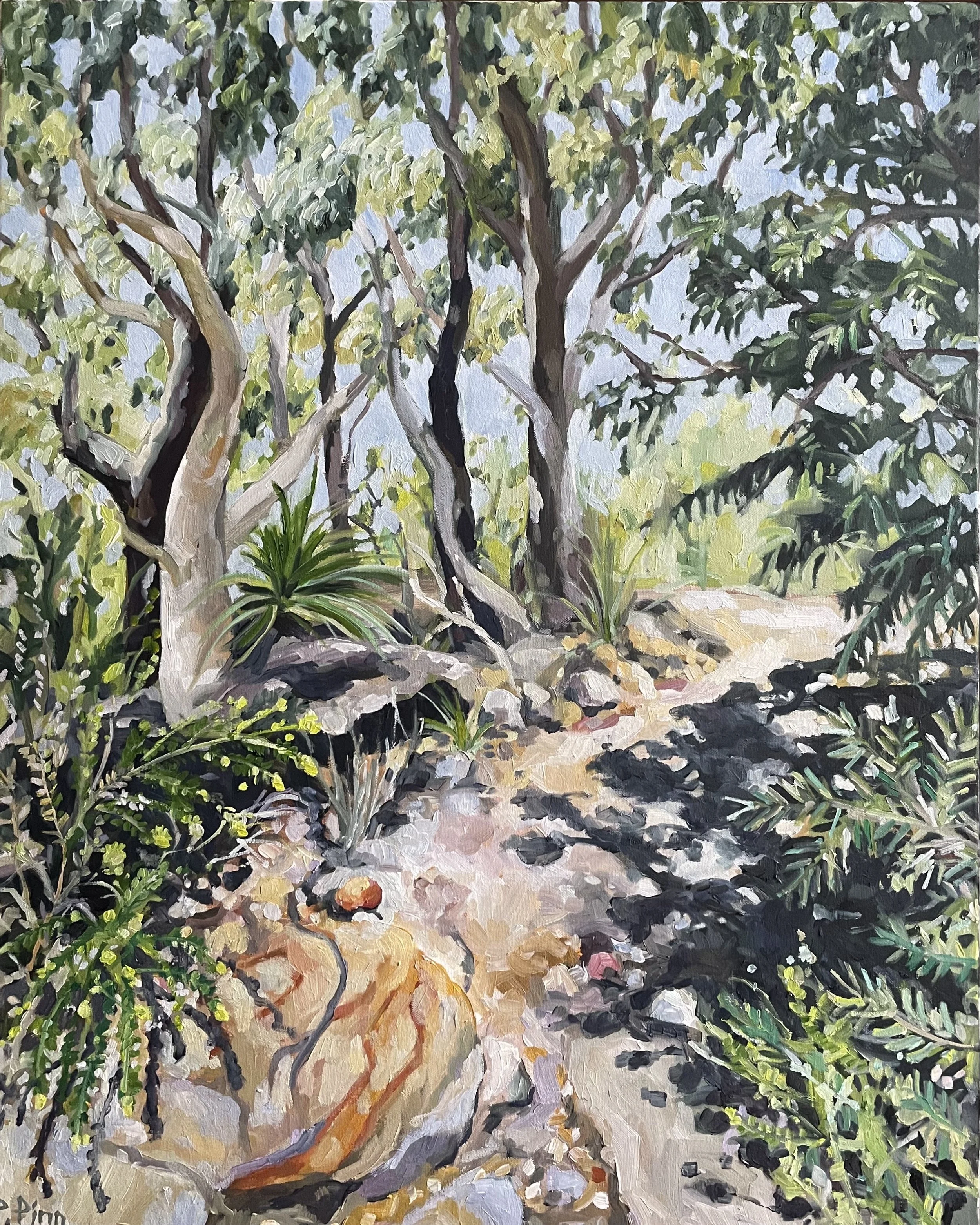 MIDDAY SUN BUSH WALK