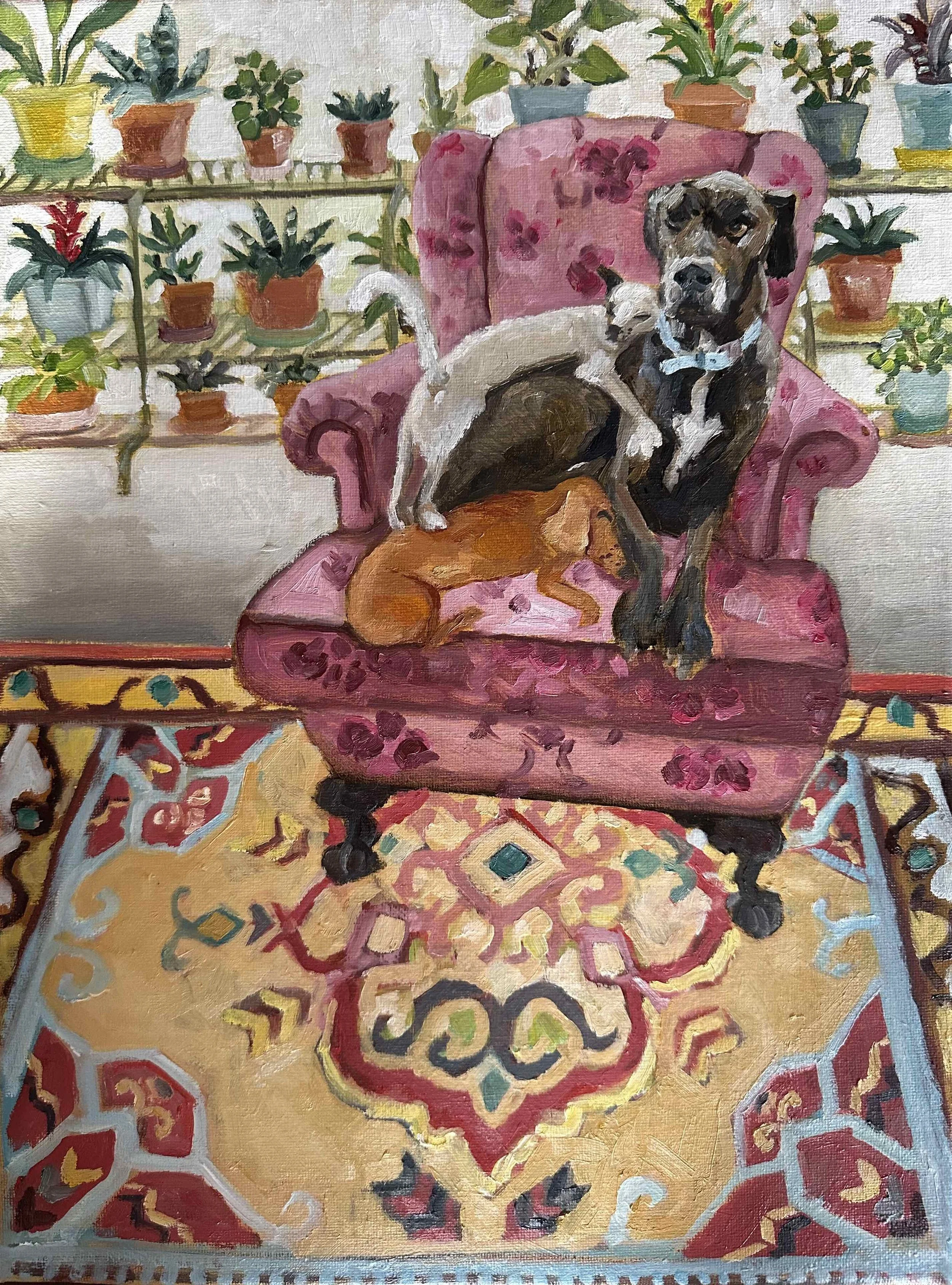 PLANTS AND PETS.jpg