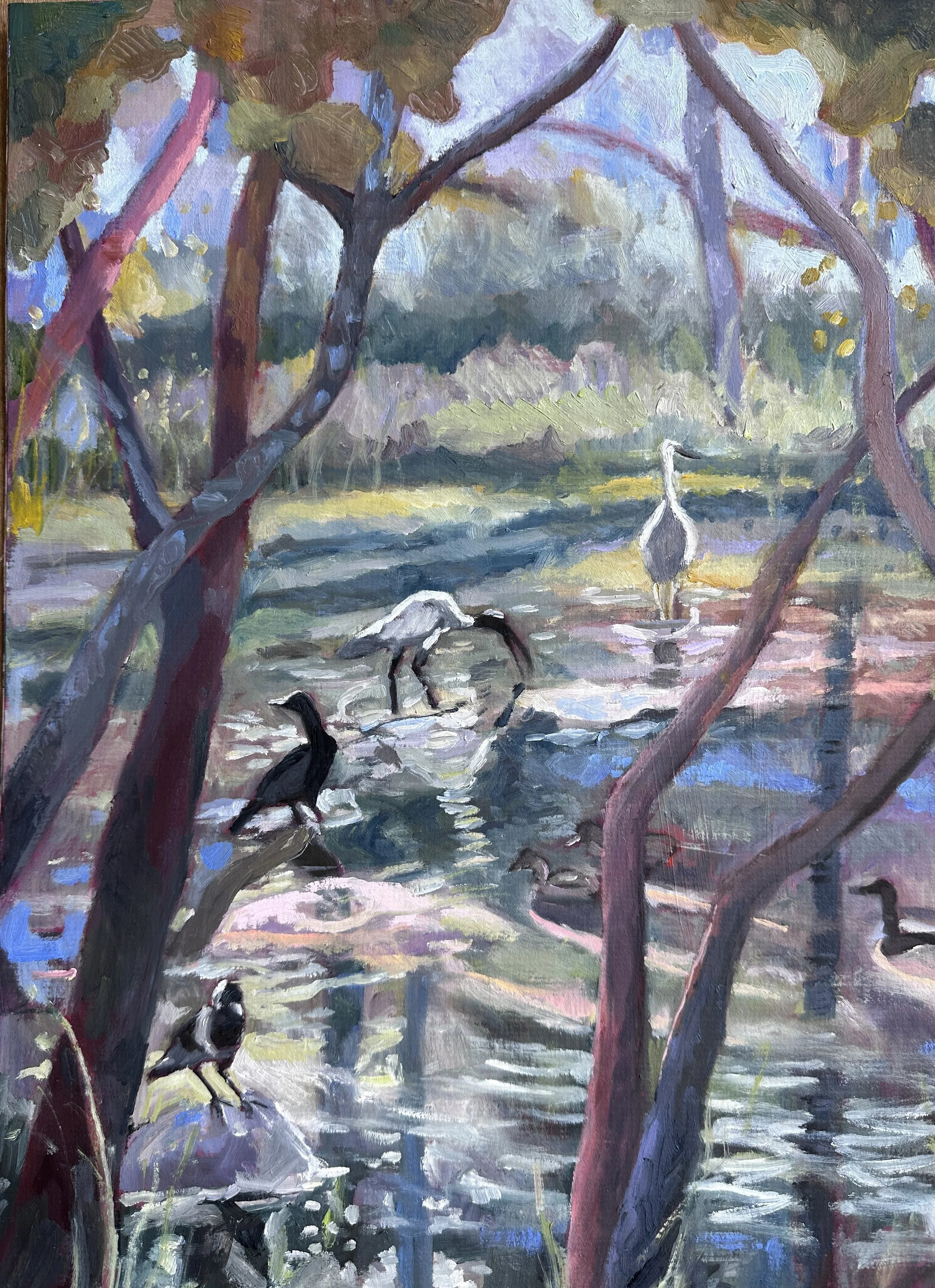 WATER BIRDS