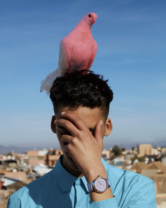 Capture d’écran 2020-06-08 à 13.17.30.png