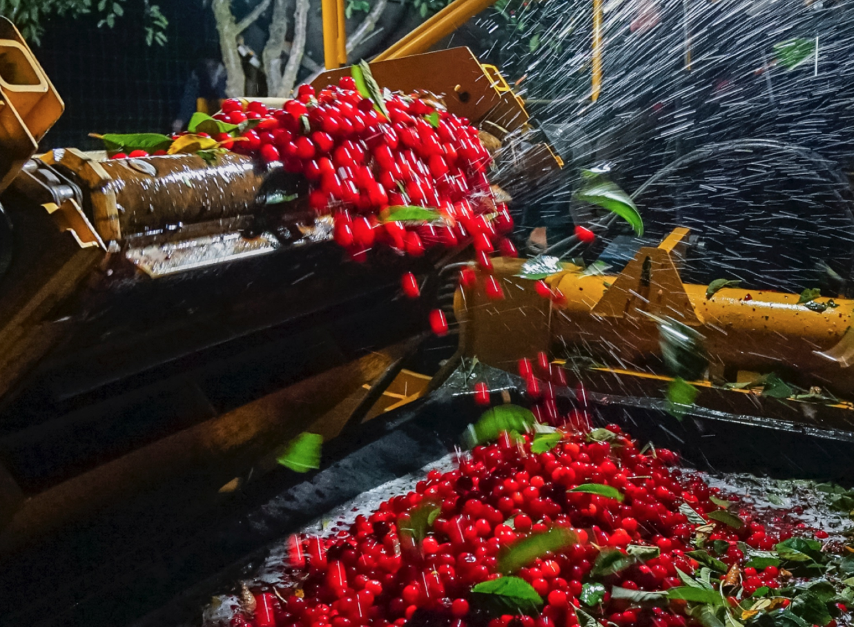 Screen Shot 2018-08-08 at 1.53.39 AM.png